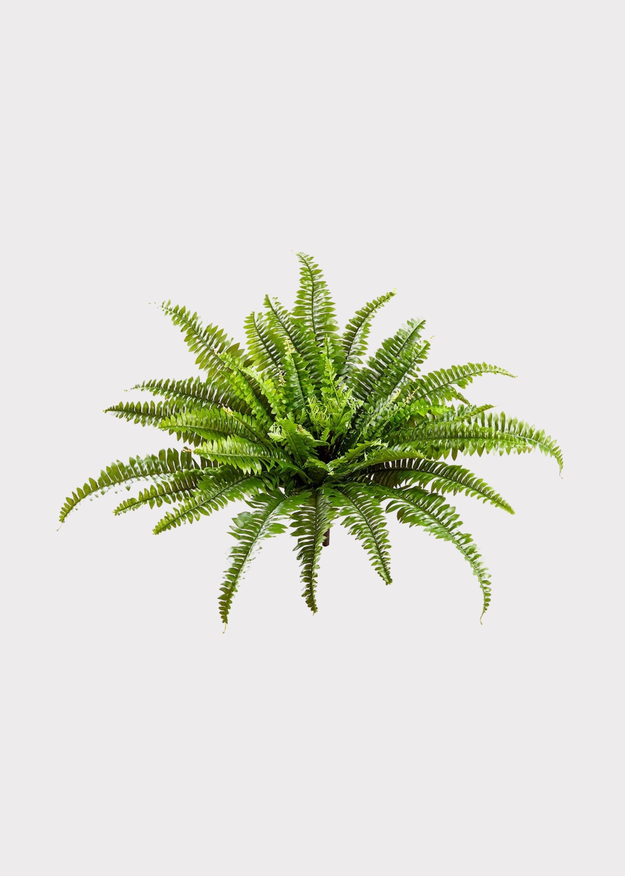 Green Artificial Fern Stem for Vase Styling