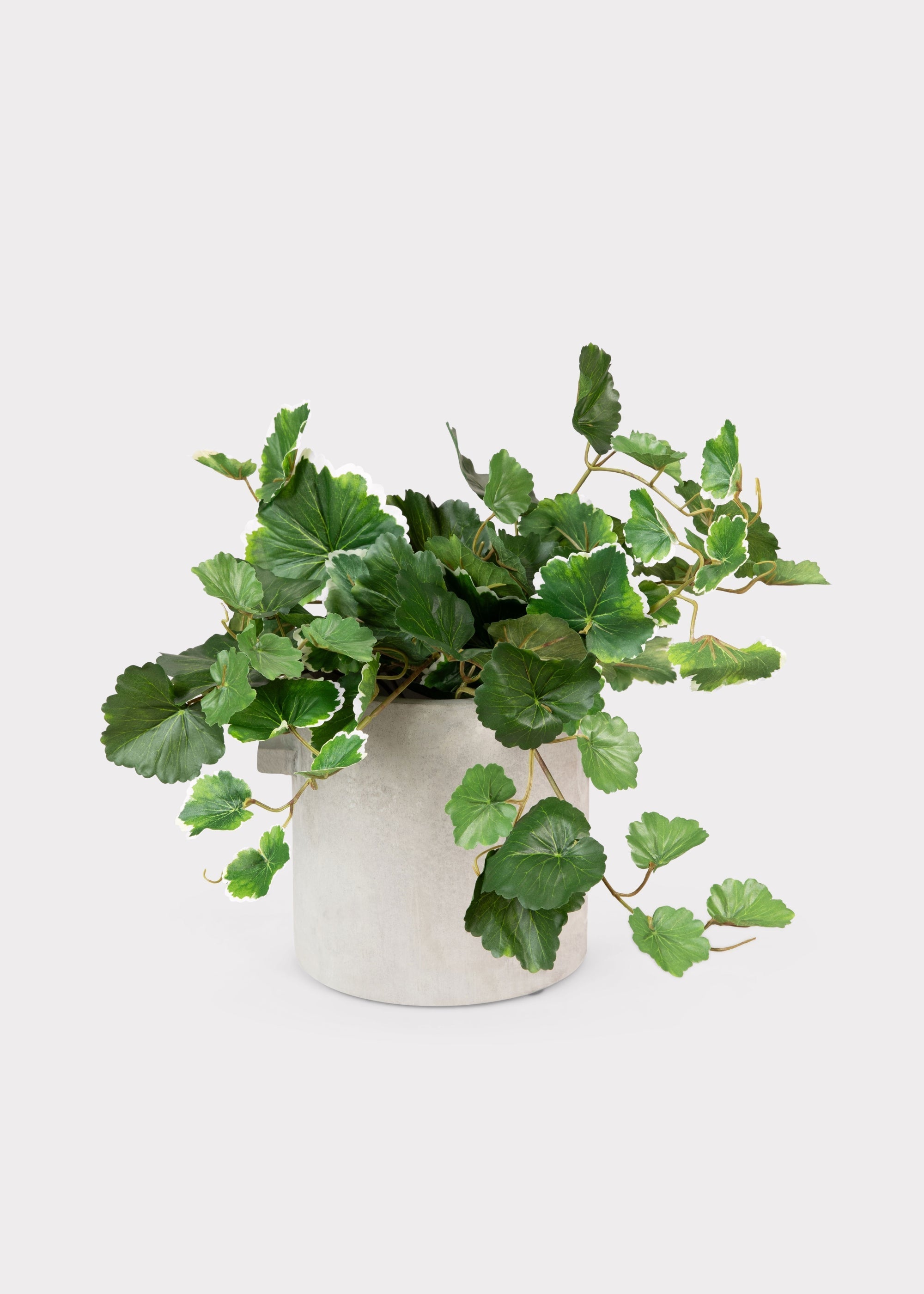 Green Artificial Geranium Bush for Wedding Decor