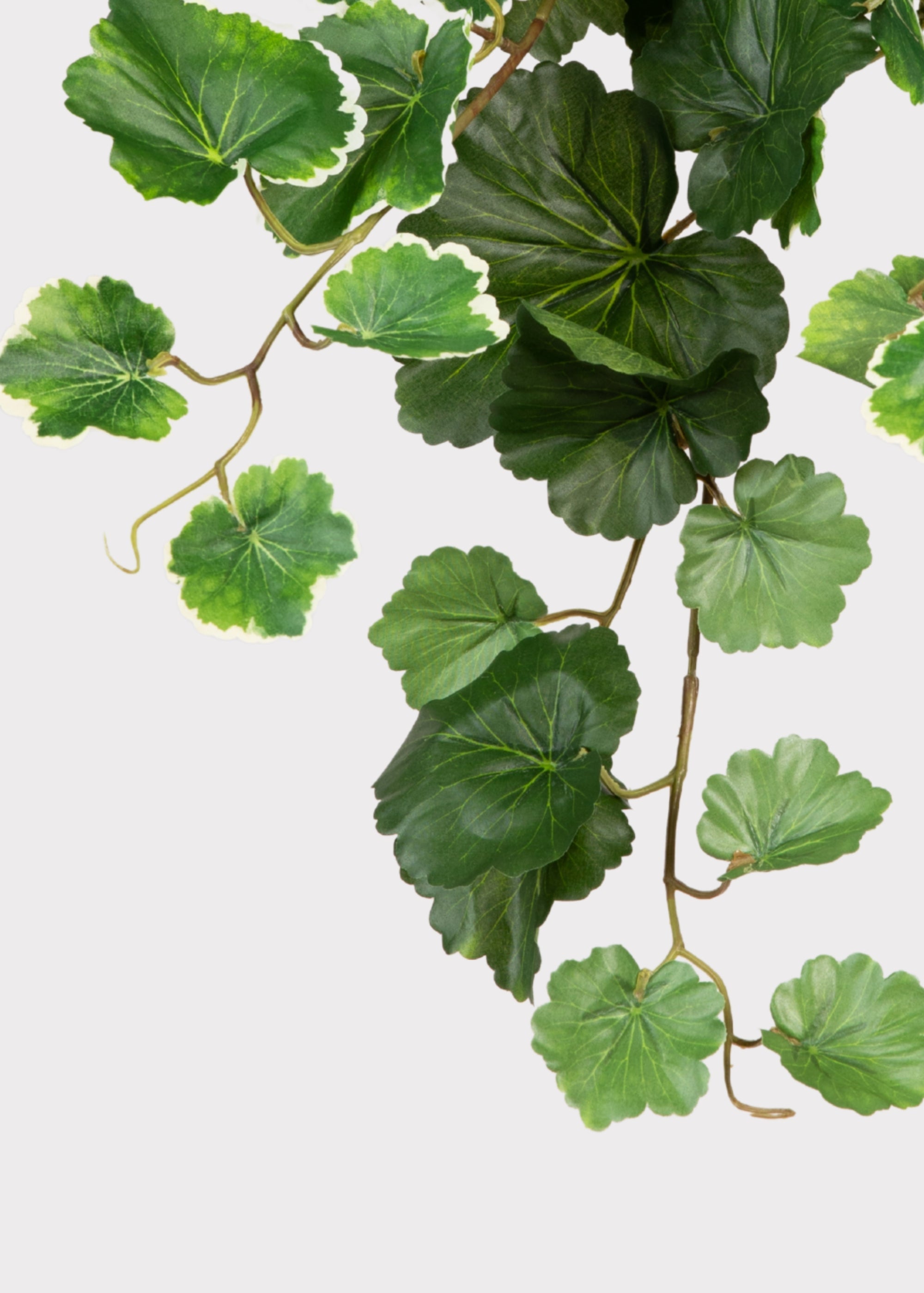 Green Artificial Geranium Bush for Entryway Arrangement