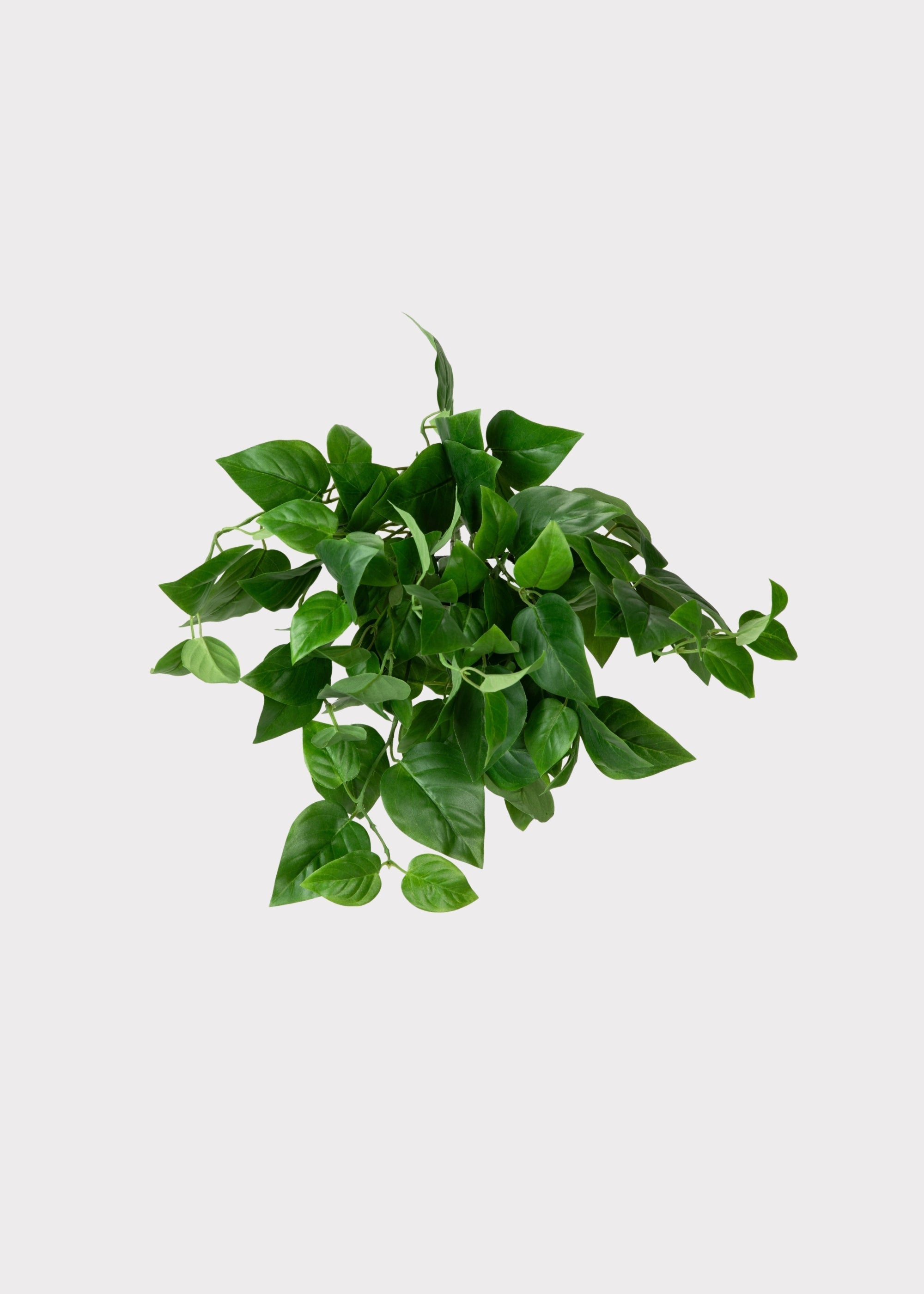 Green Artificial Hanging Philodendron for Vase Styling