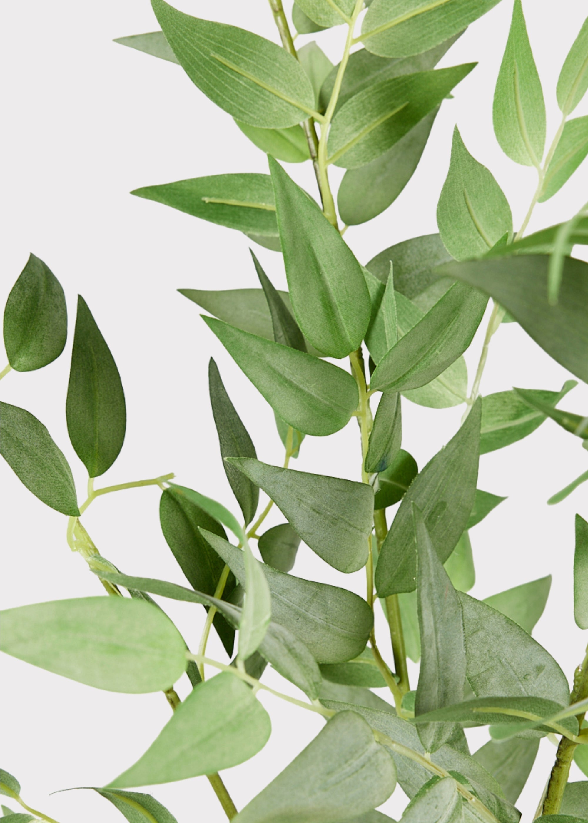 Green Artificial Ruscus Bush for Wedding Decor