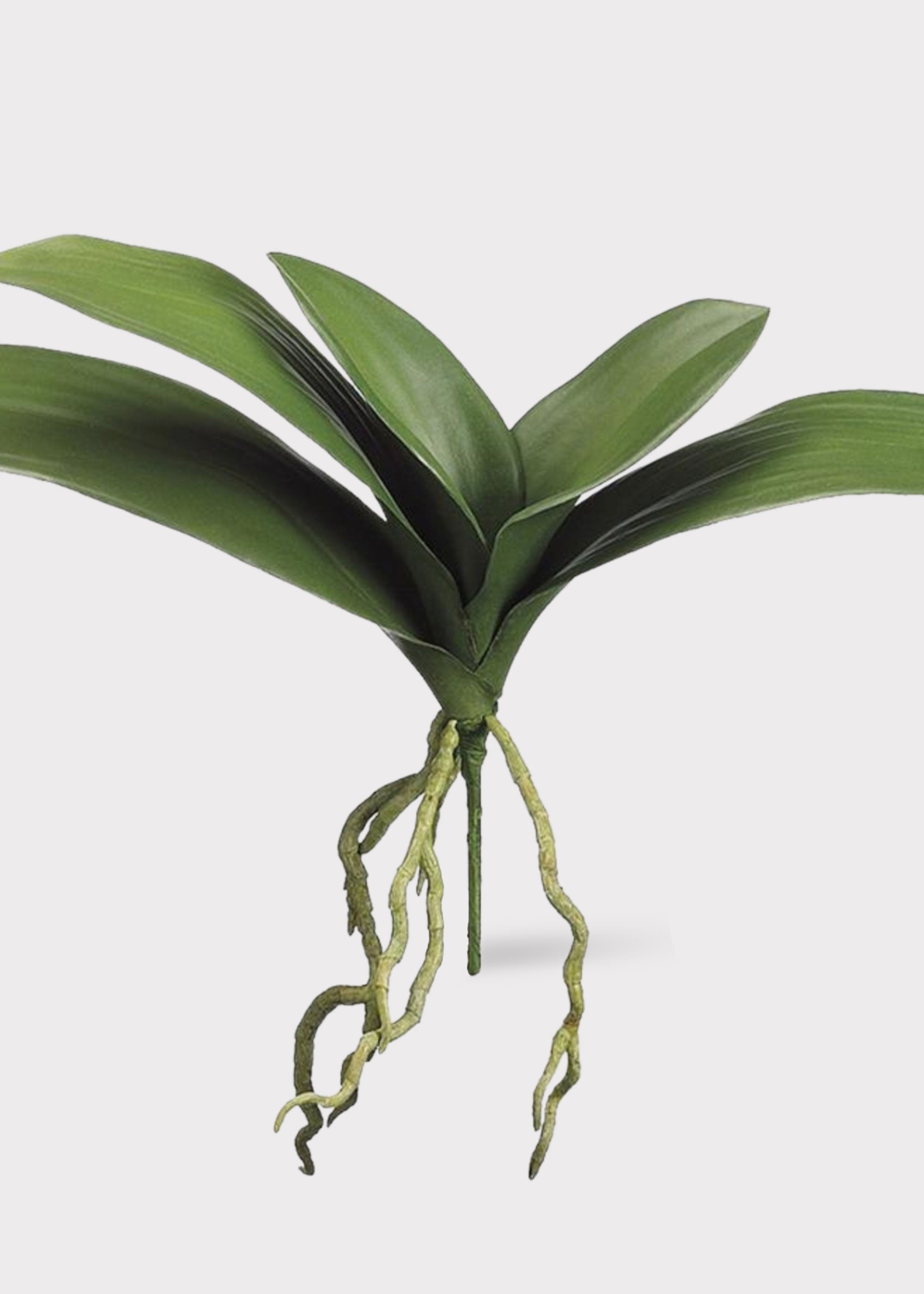 Green Artificial Orchid Stem for Wedding Decor