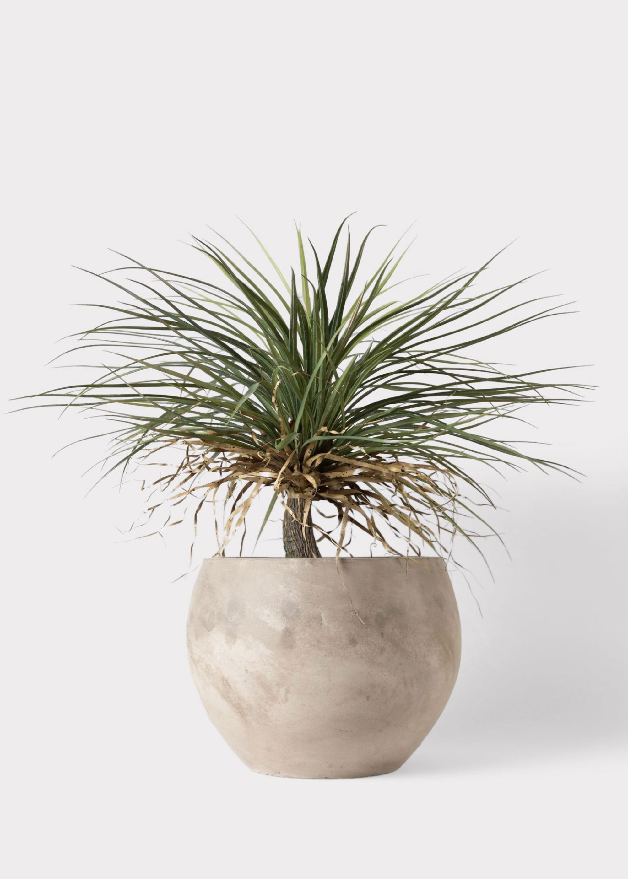 Green Artificial Palm Arrangement for Home Decor