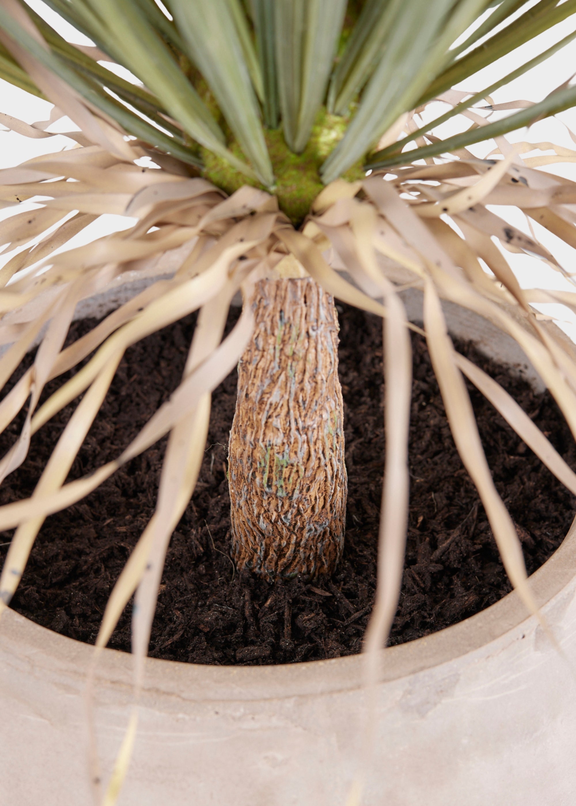 Green Artificial Palm Arrangement for Shelf Styling