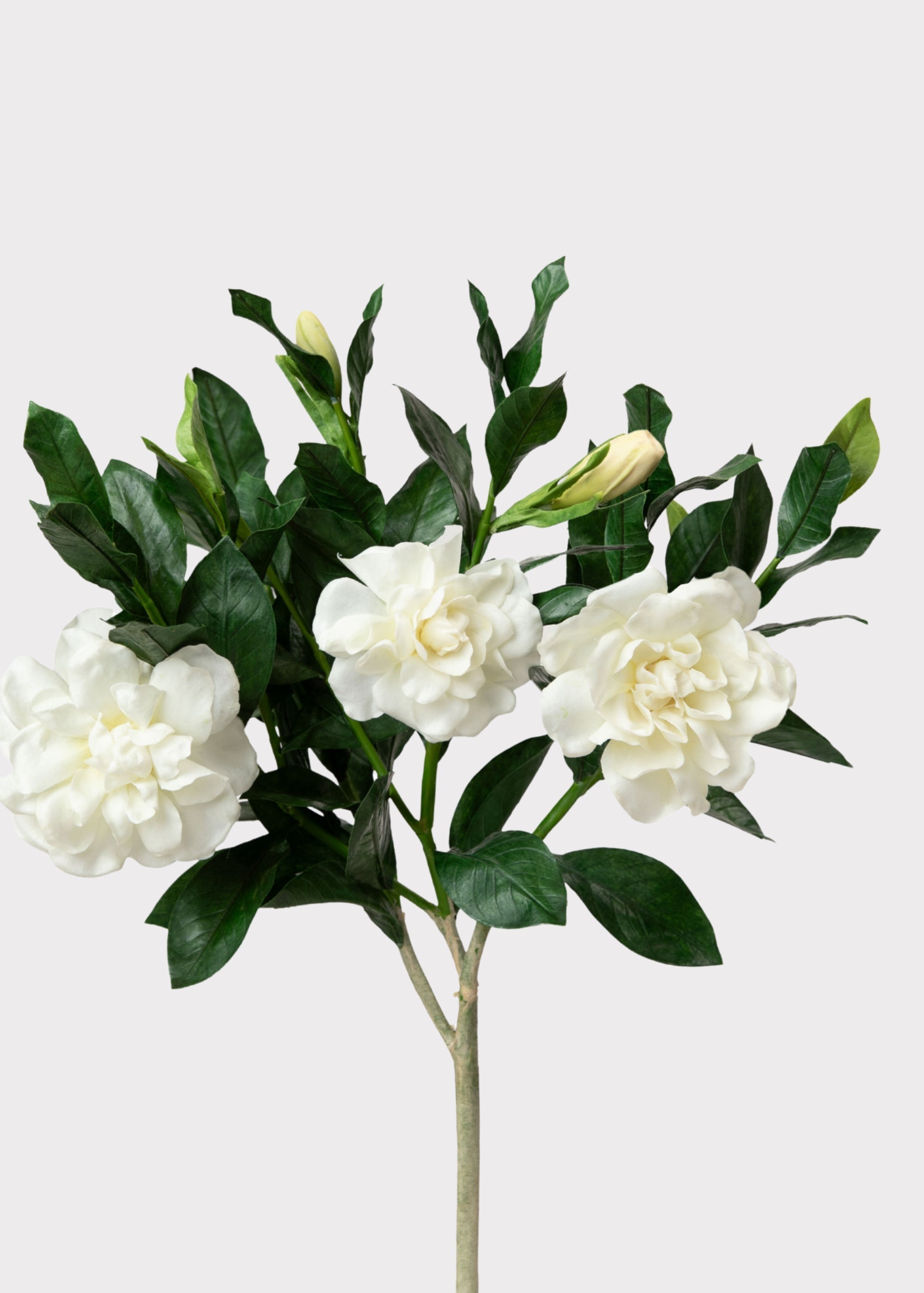 White Artificial Premium Gardenia Branch for Vase Styling