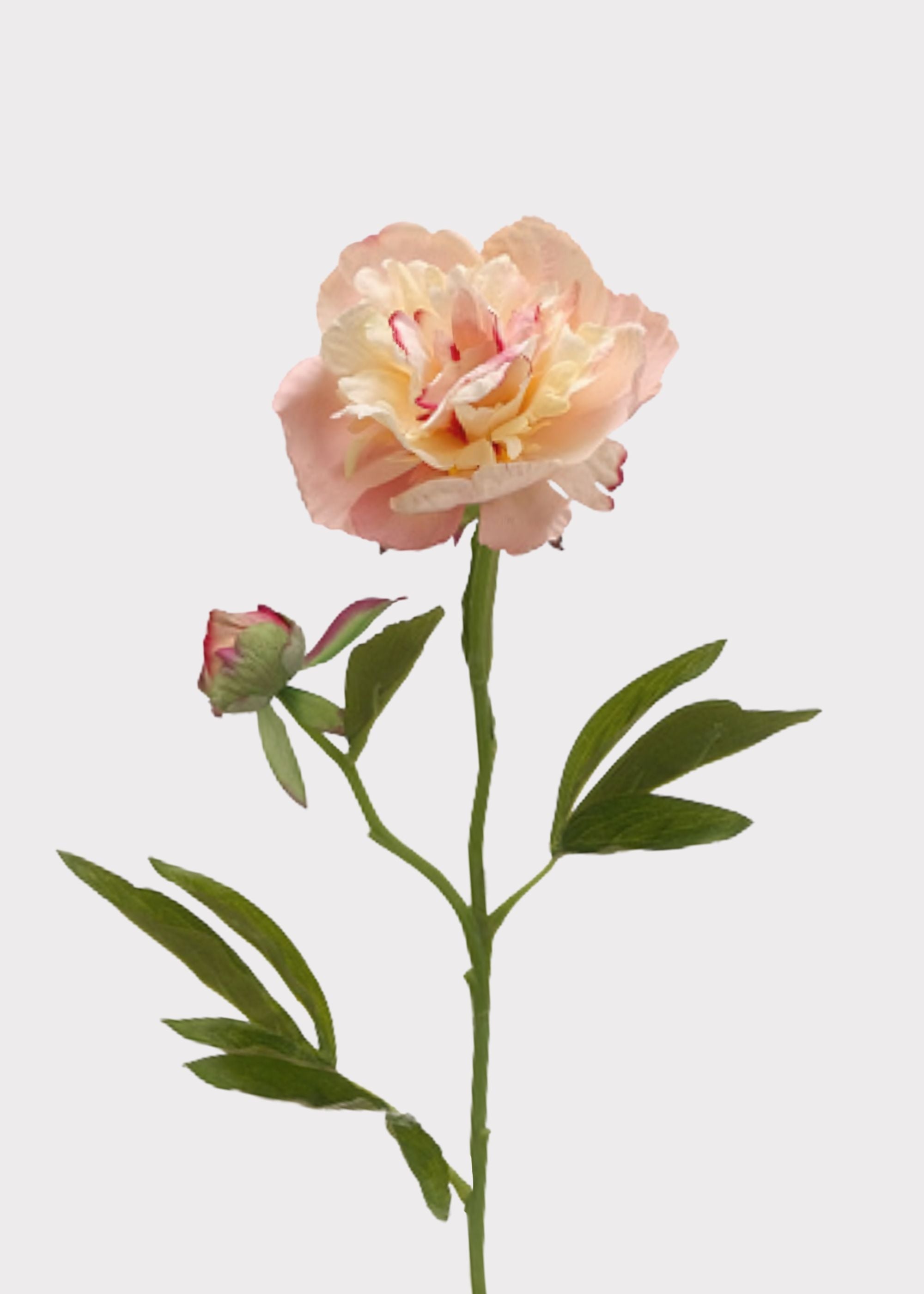 Pink Artificial Peony Stem for Vase Styling