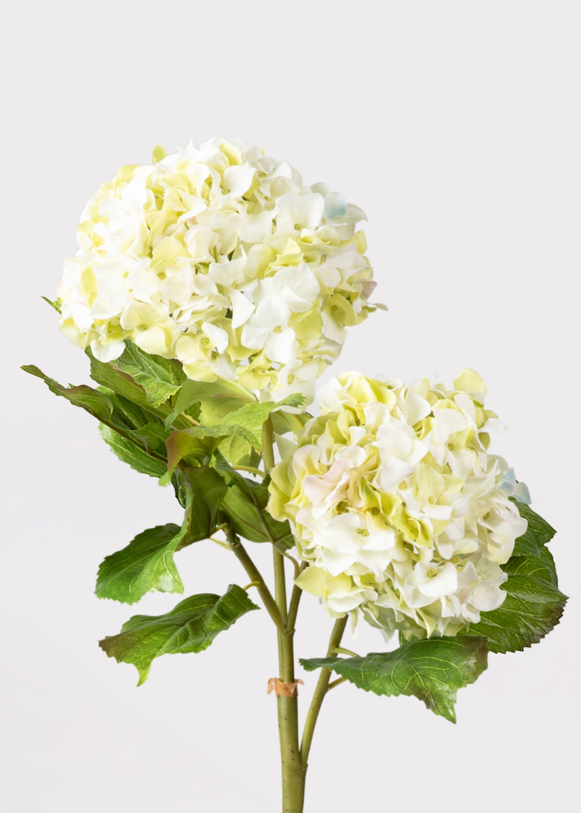 Cream Green Artificial Hydrangea Branch for Home Decor