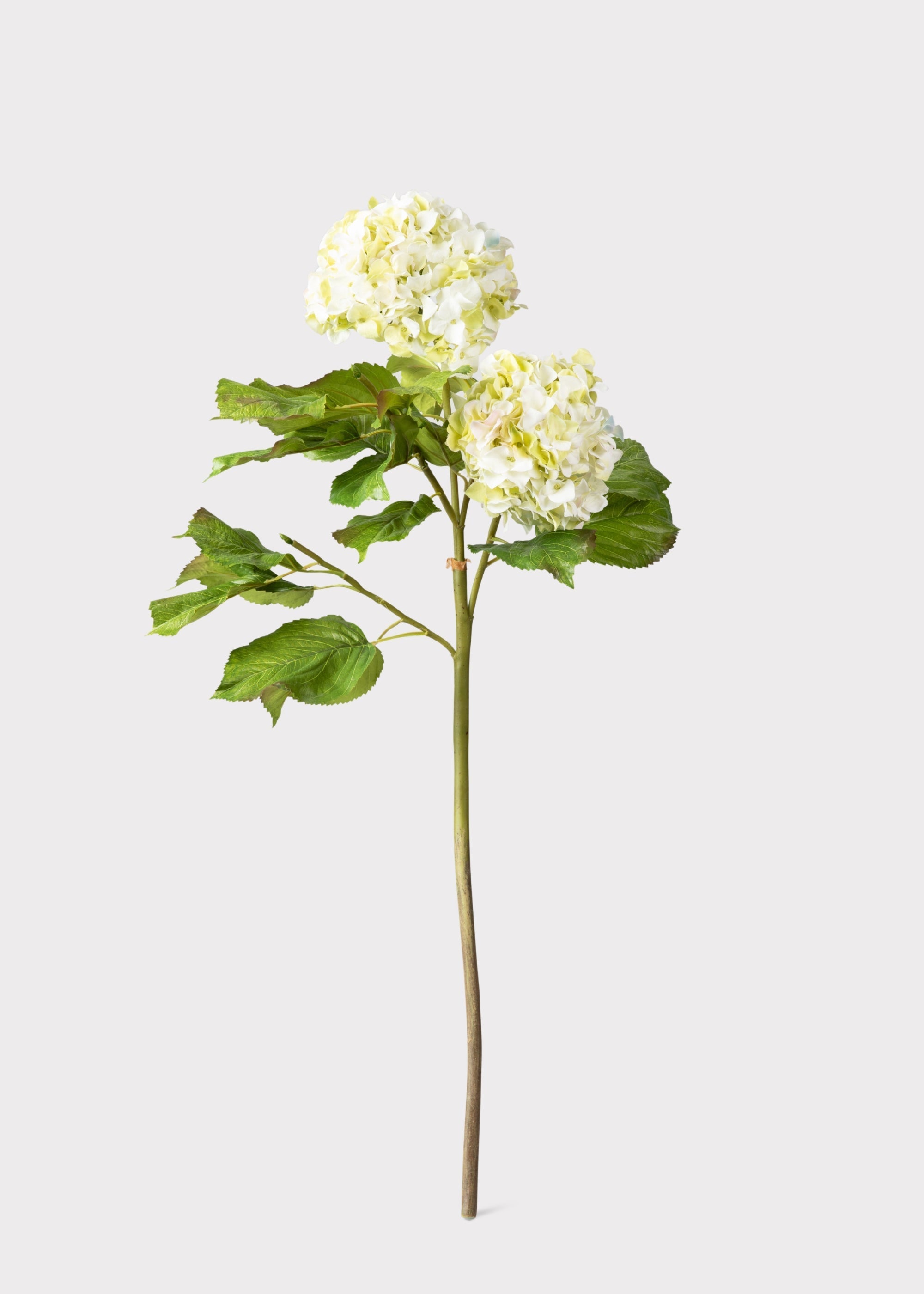 Cream Green Artificial Hydrangea Branch for Table Centerpiece