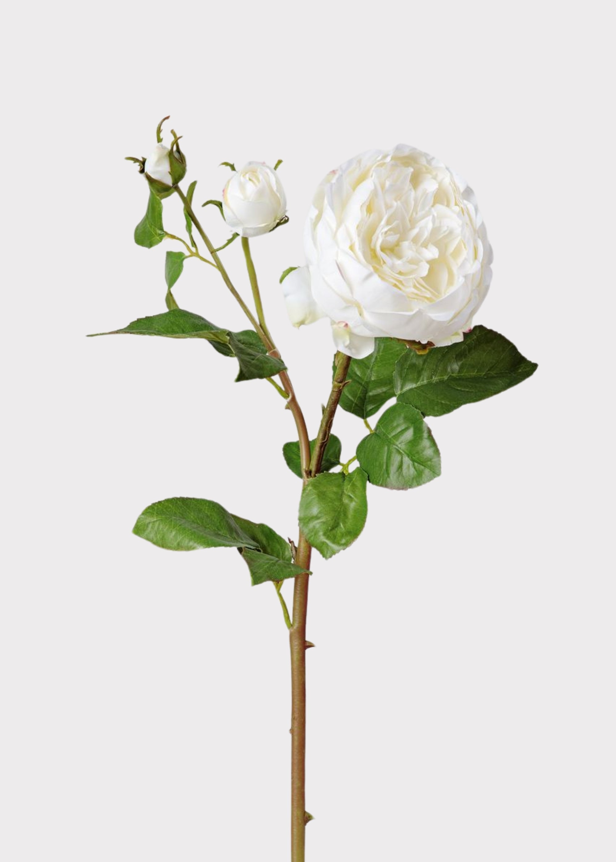 White Real Touch Artificial Rose Bundle for Vase Styling