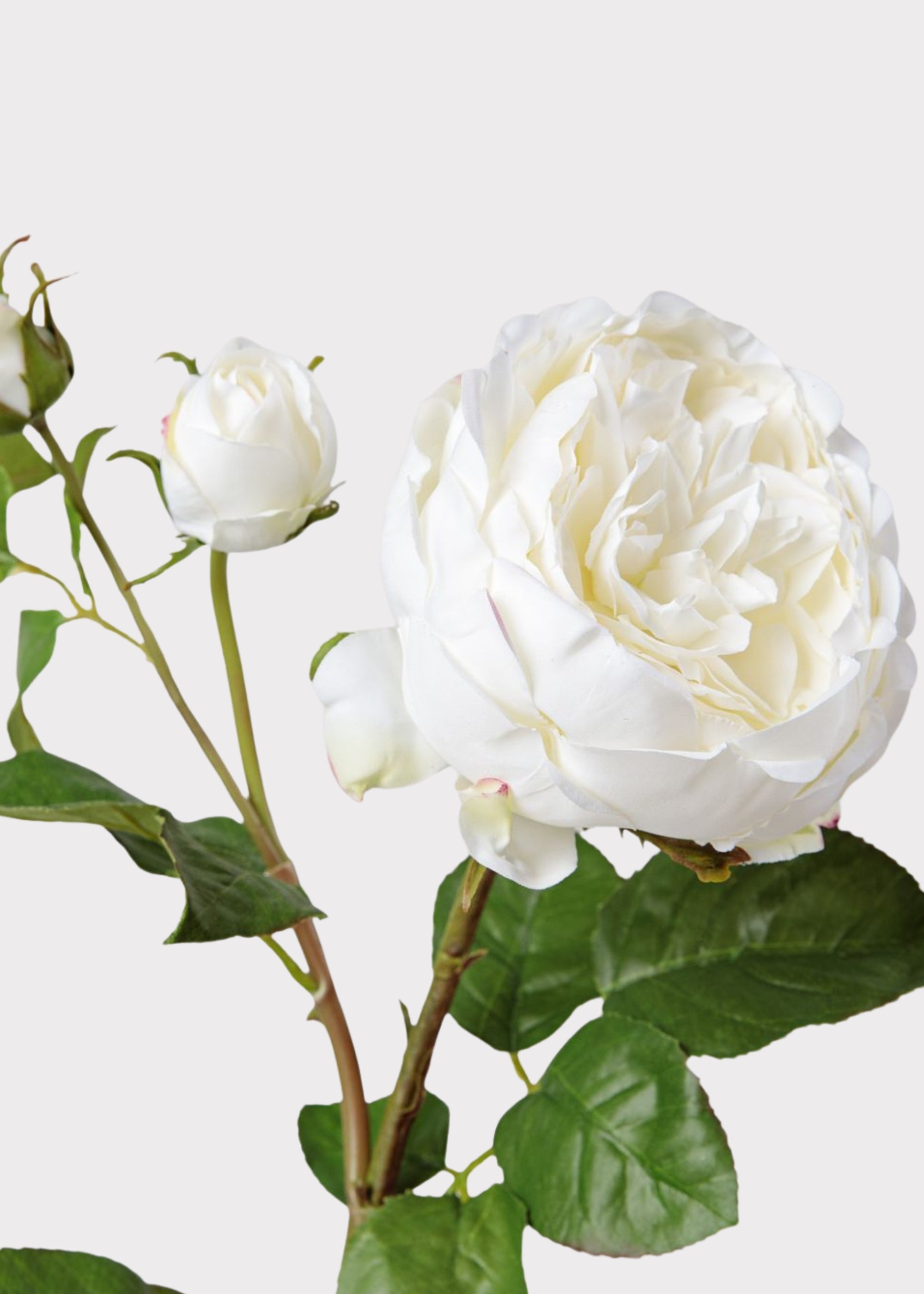 White Real Touch Artificial Rose Bundle for Wedding Decor