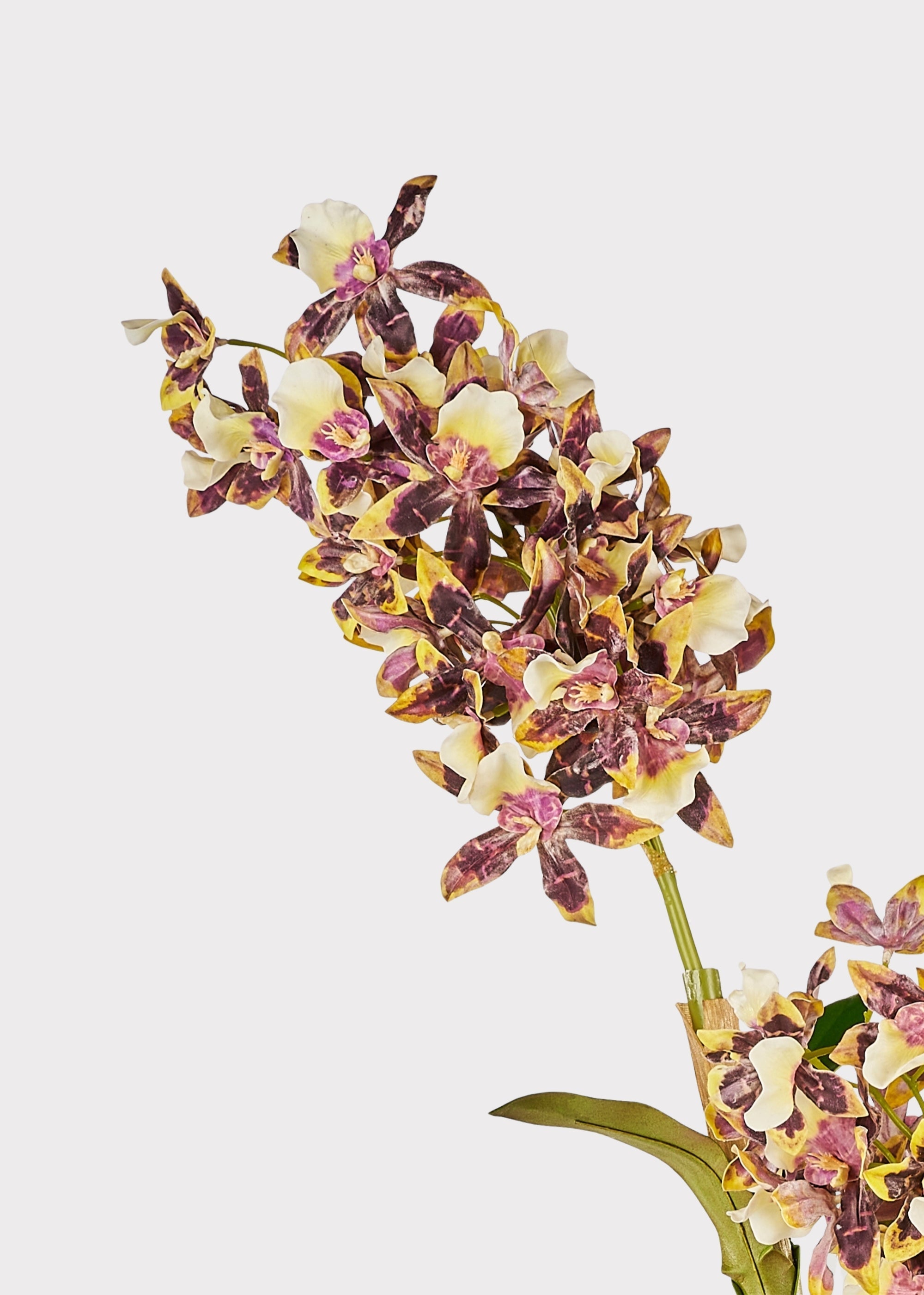 White Artificial Orchid Stem for Home Decor