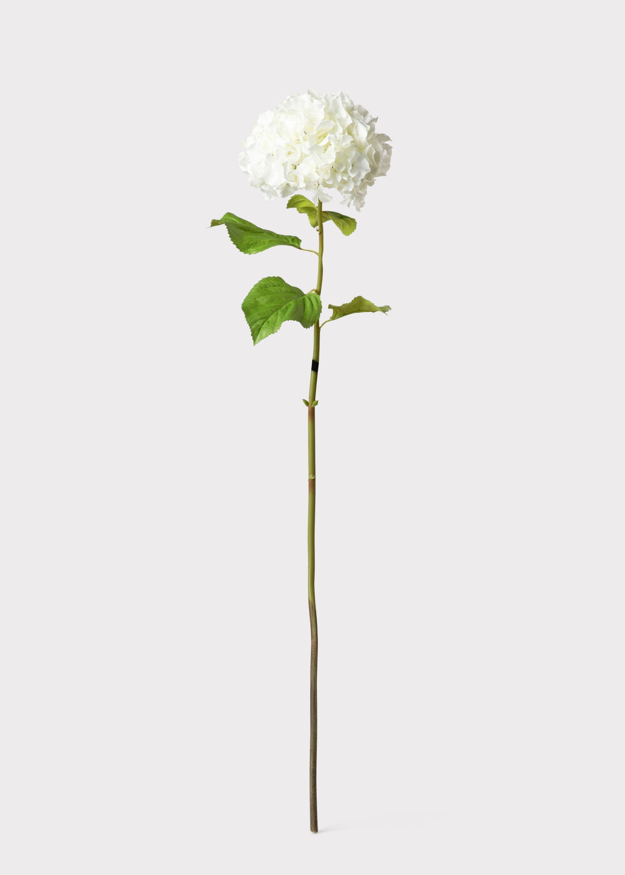 White Artificial Hydrangea Stem for Home Decor