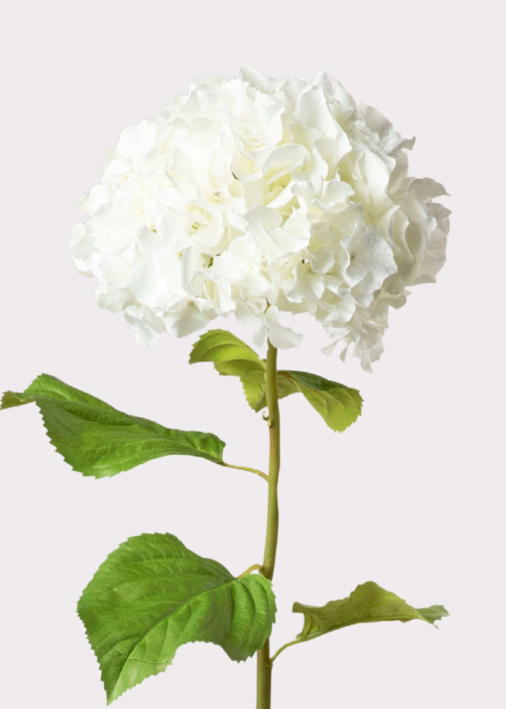 White Artificial Hydrangea Stem for Vase Styling