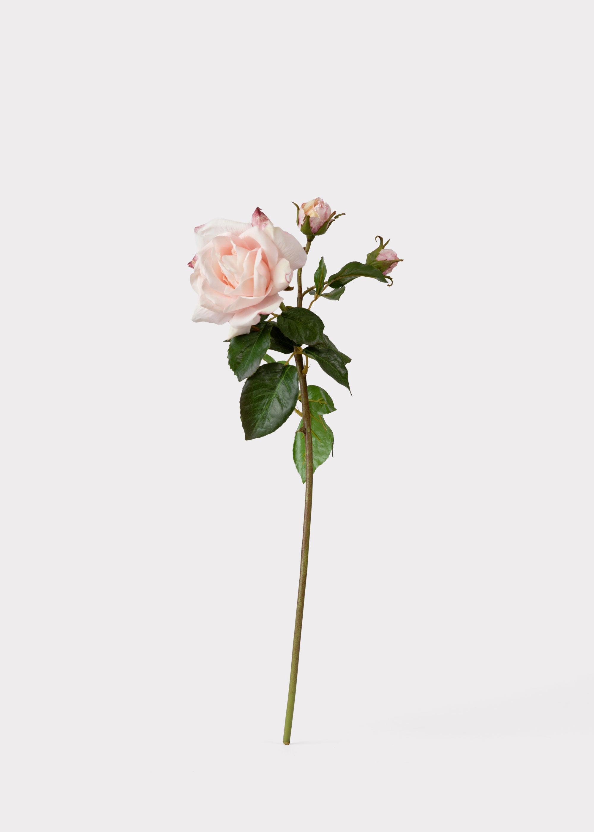 Pink Real Touch Artificial Rose Bundle for Wedding Decor
