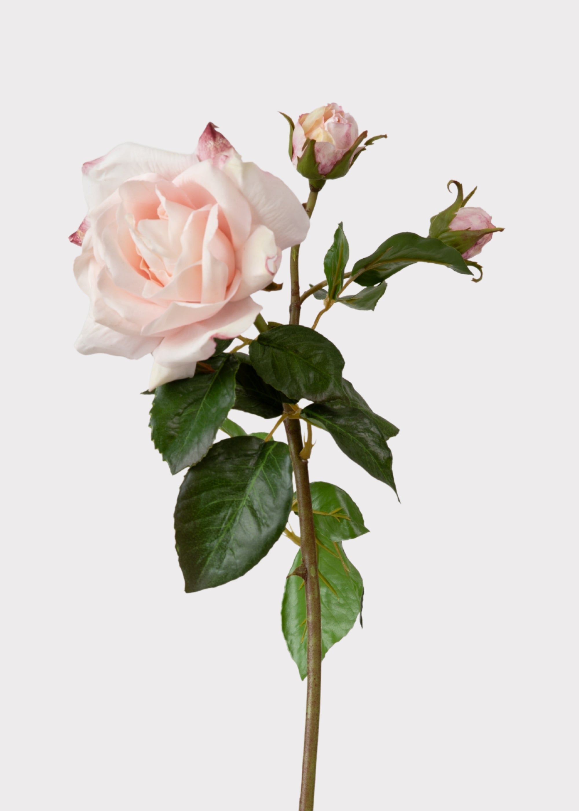 Pink Real Touch Artificial Rose Bundle for Vase Styling