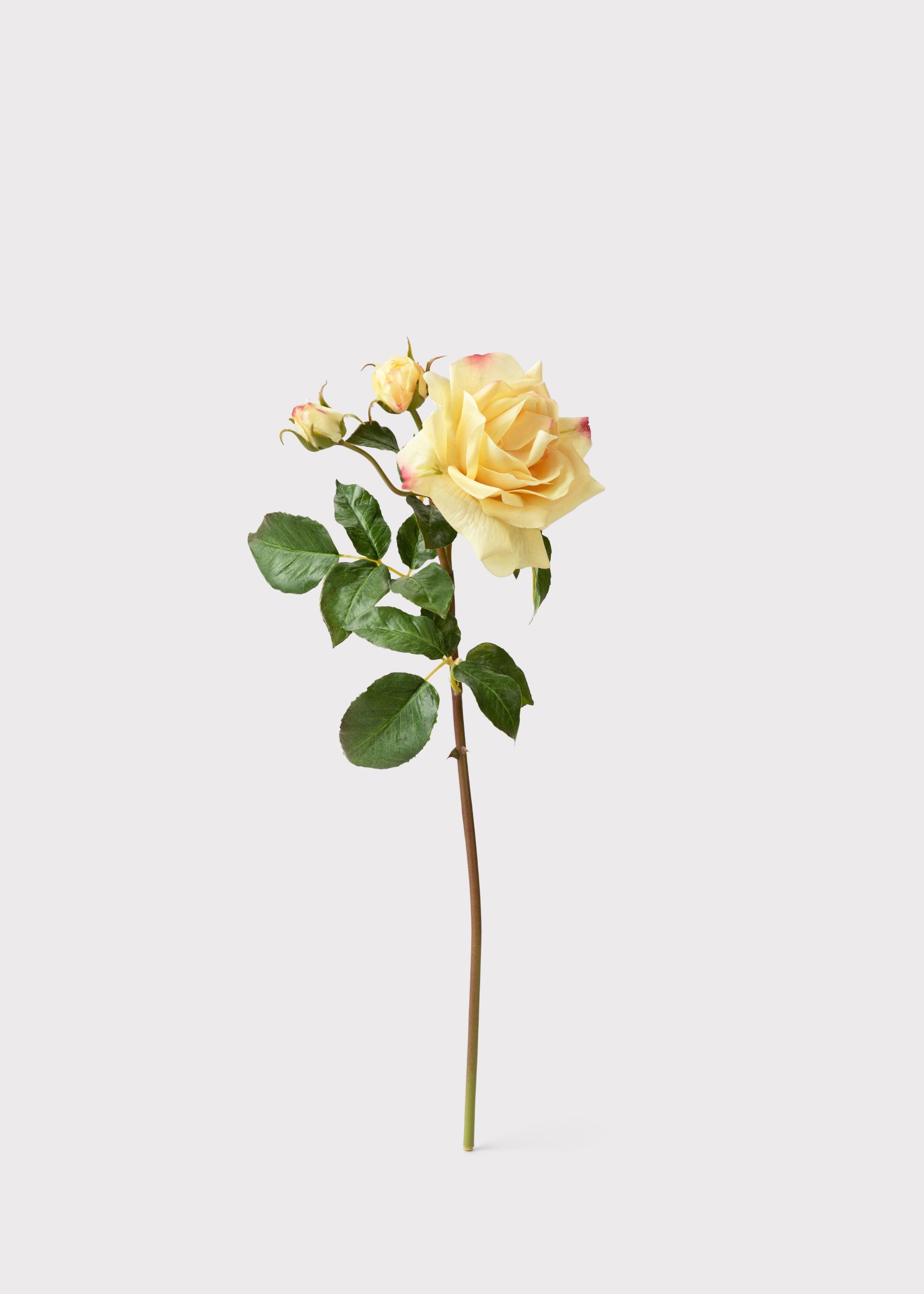 Yellow Real Touch Artificial Rose Bundle for Table Centerpiece