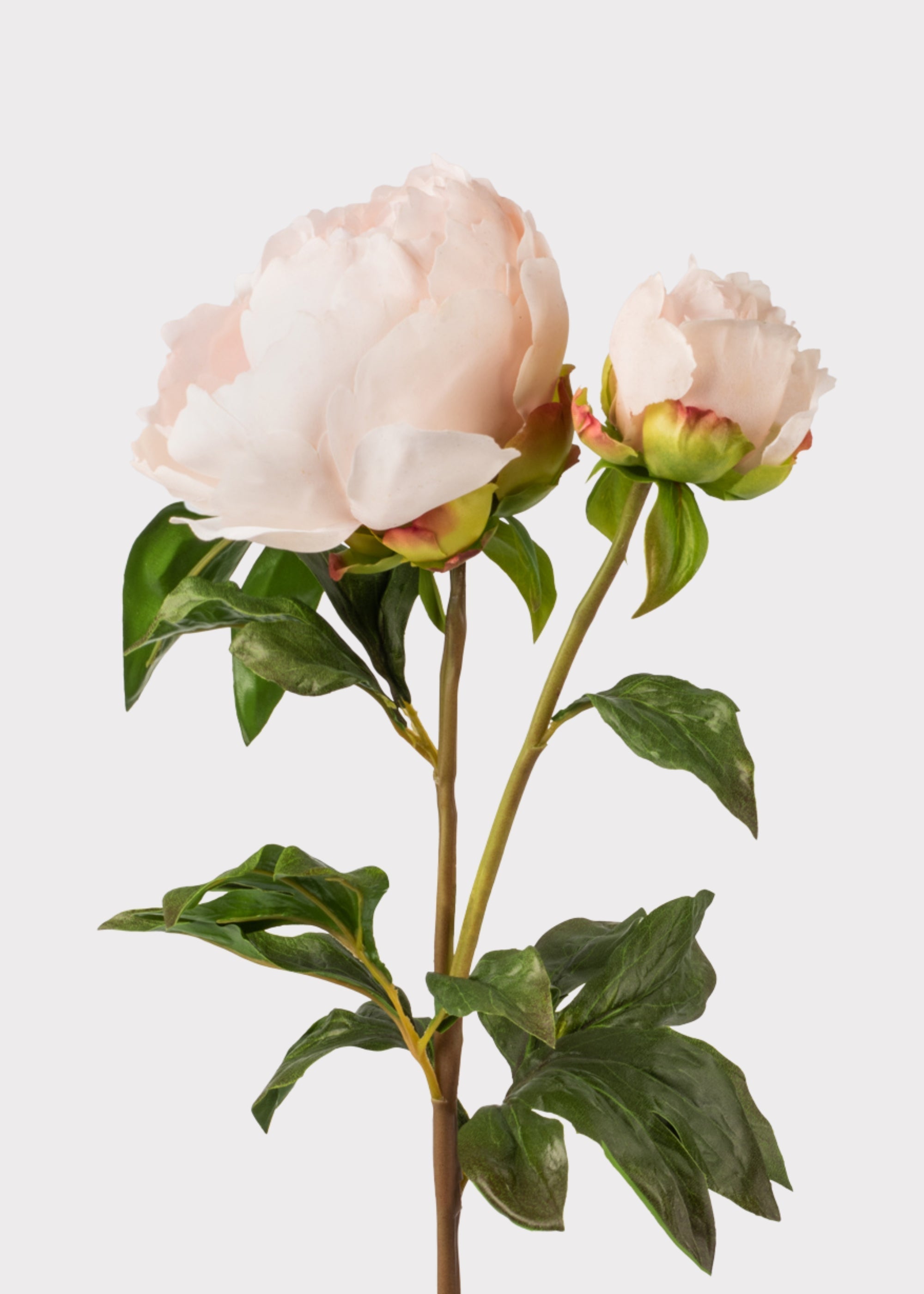 Blush Real Touch Artificial Peony Bundle for Vase Styling