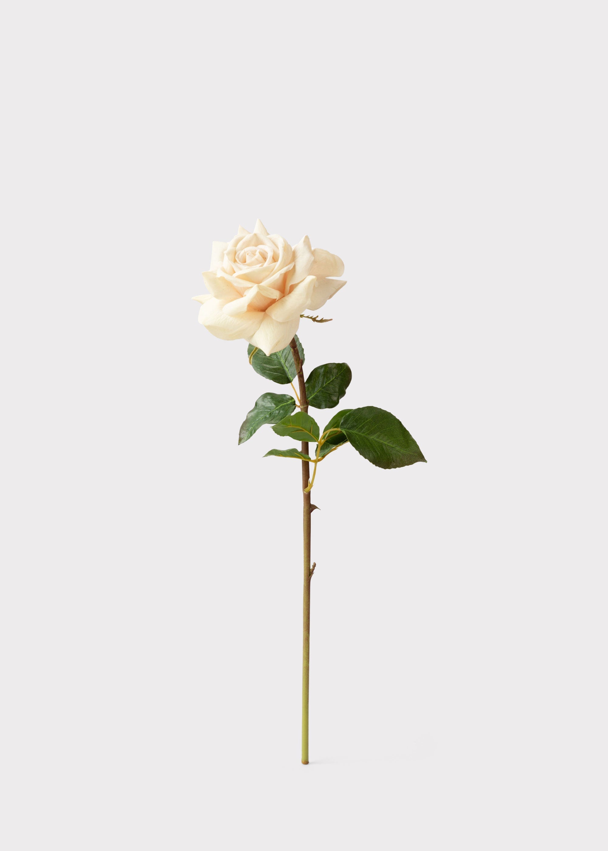 Beige Real Touch Artificial Rose Bundle for Entryway Arrangement