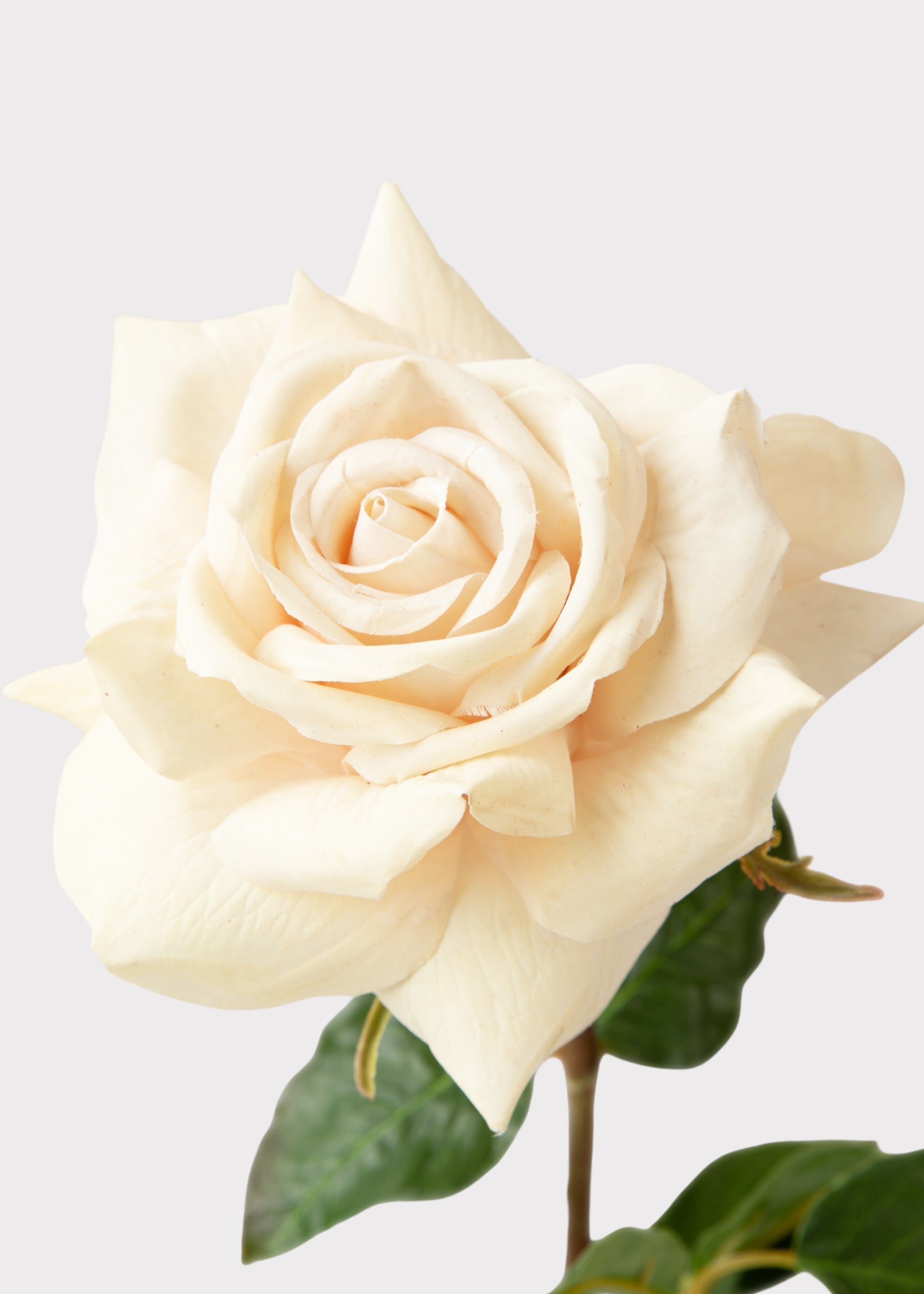 Beige Real Touch Artificial Rose Bundle for Wedding Decor