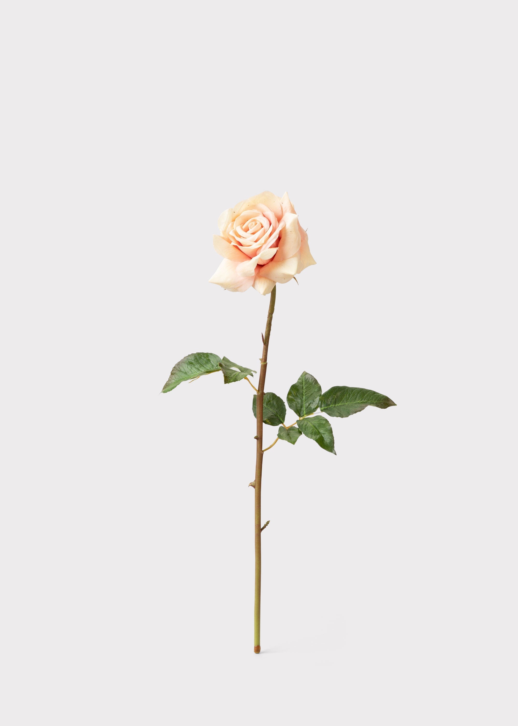 Pink Real Touch Artificial Rose Bundle for Wedding Decor