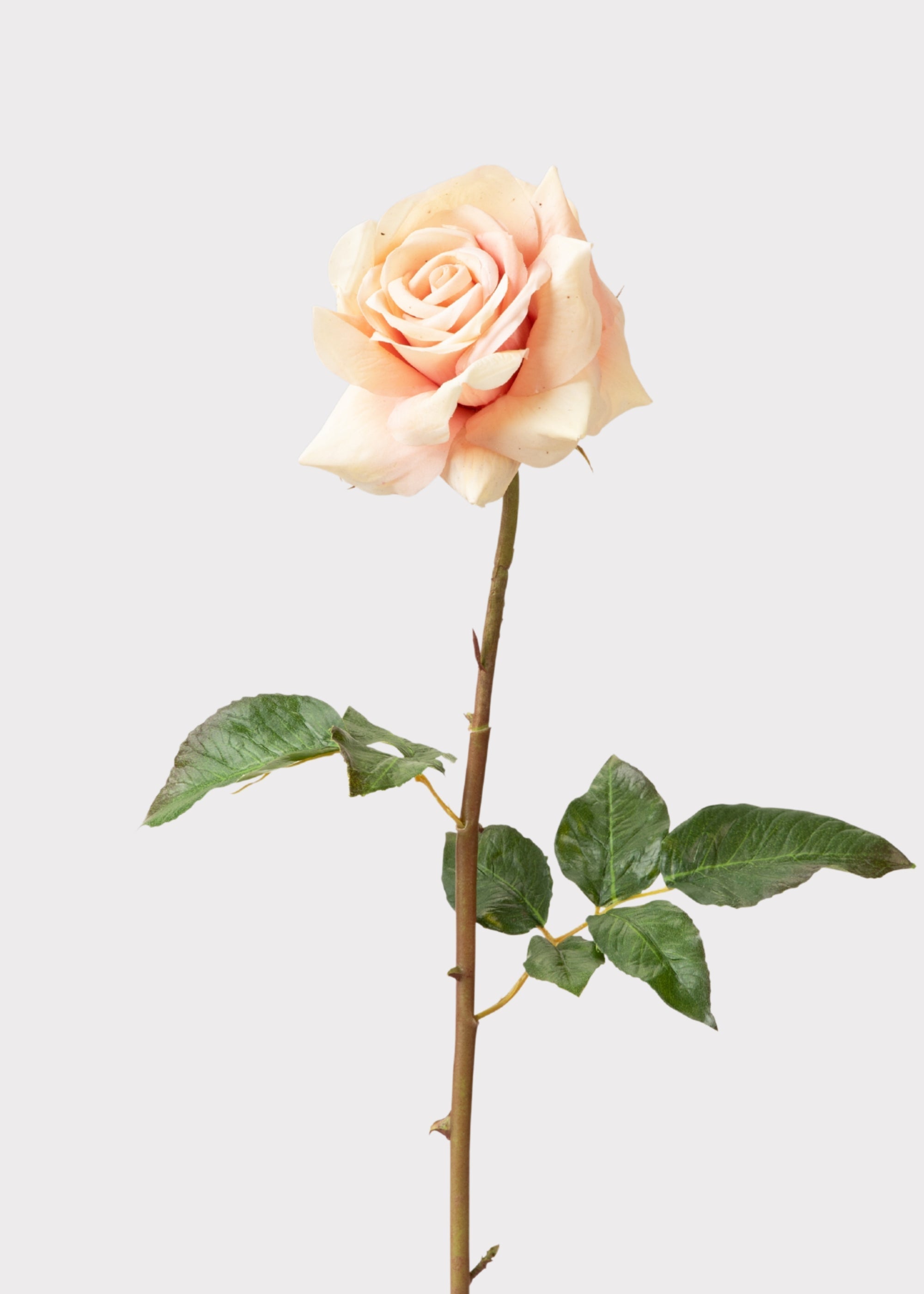 Pink Real Touch Artificial Rose Bundle for Vase Styling
