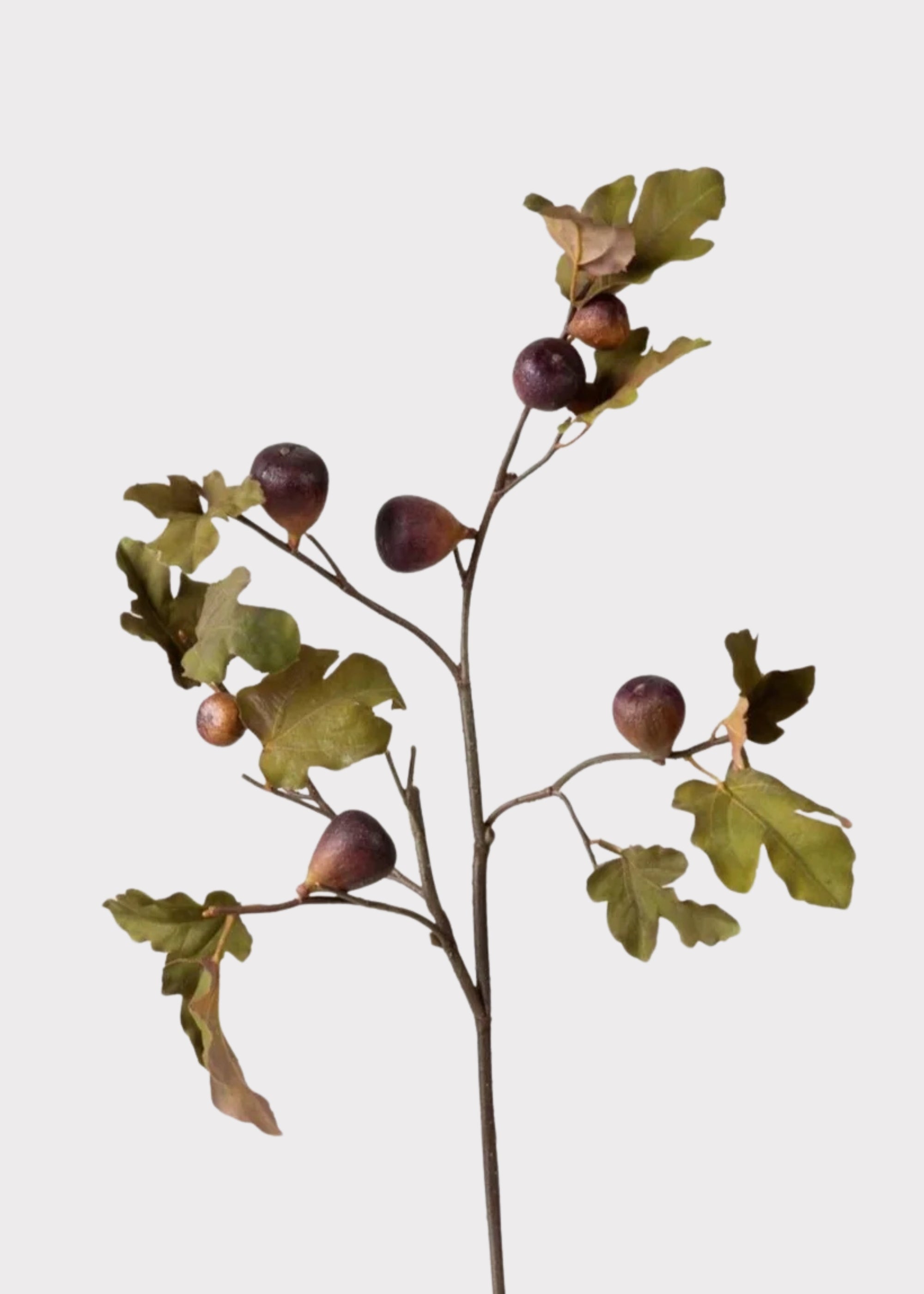 Green Artificial Premium Fig Branch for Vase Styling