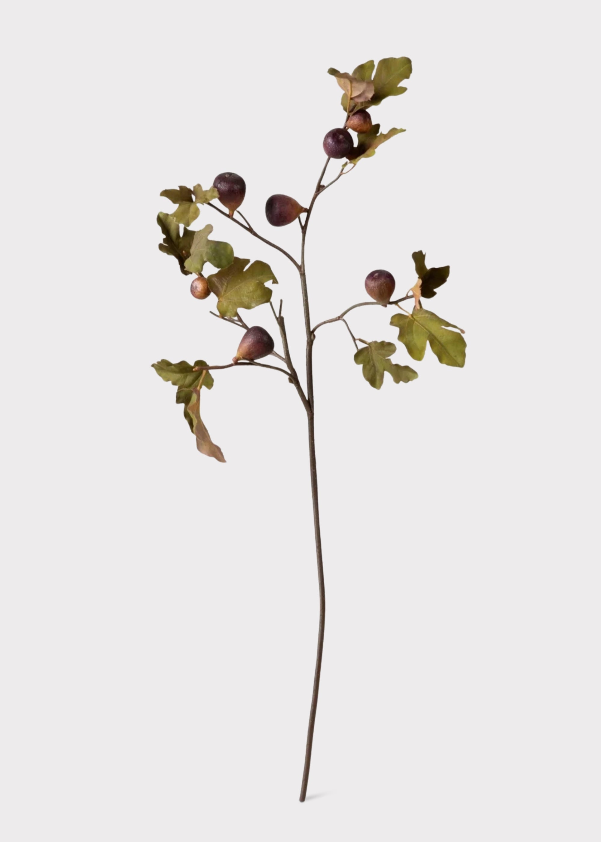 Green Artificial Premium Fig Branch for Entryway Arrangement
