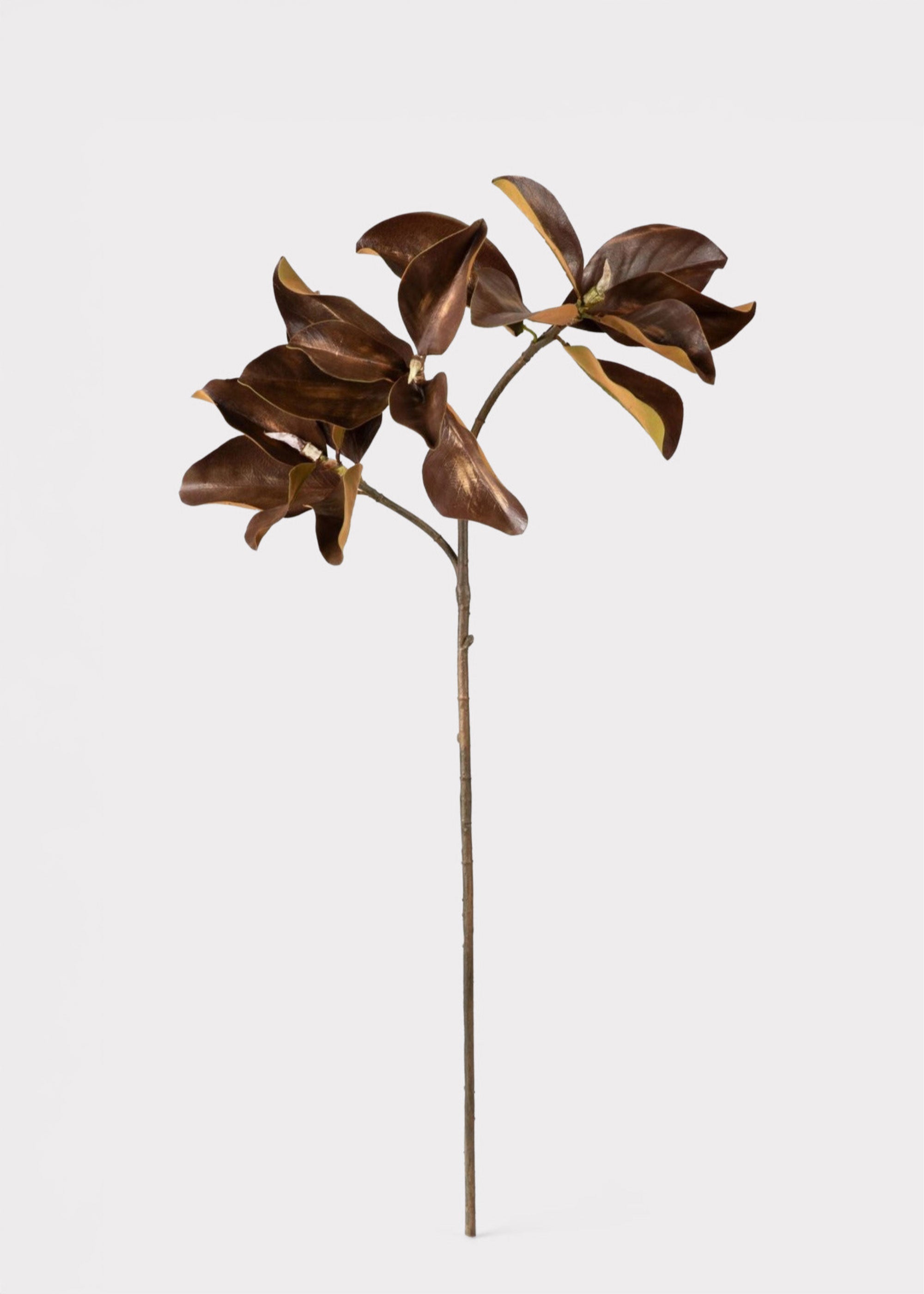Brown Artificial Magnolia Branch for Wedding Decor