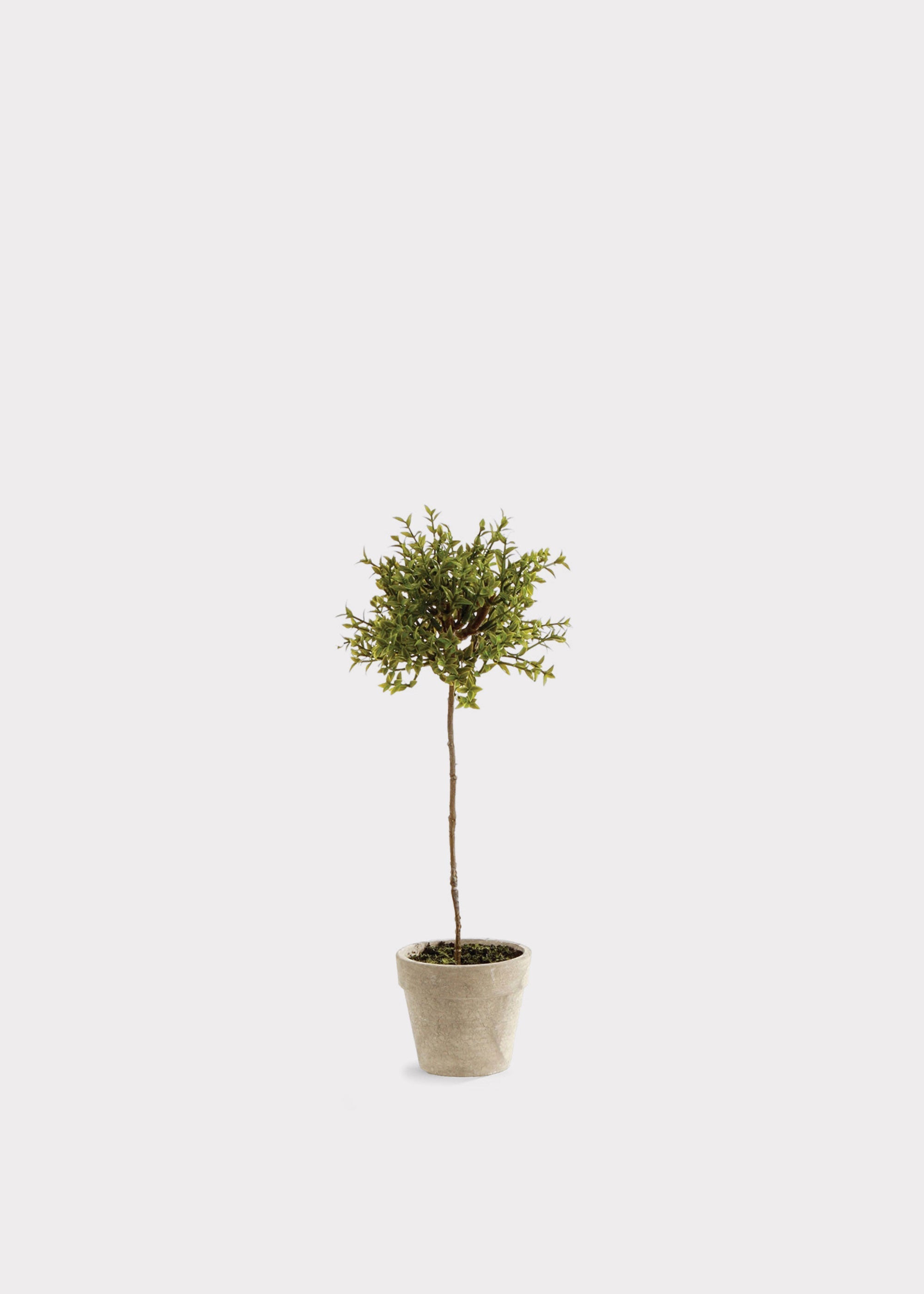 Green Artificial Thyme Herb Topiary Potted for Vase Styling