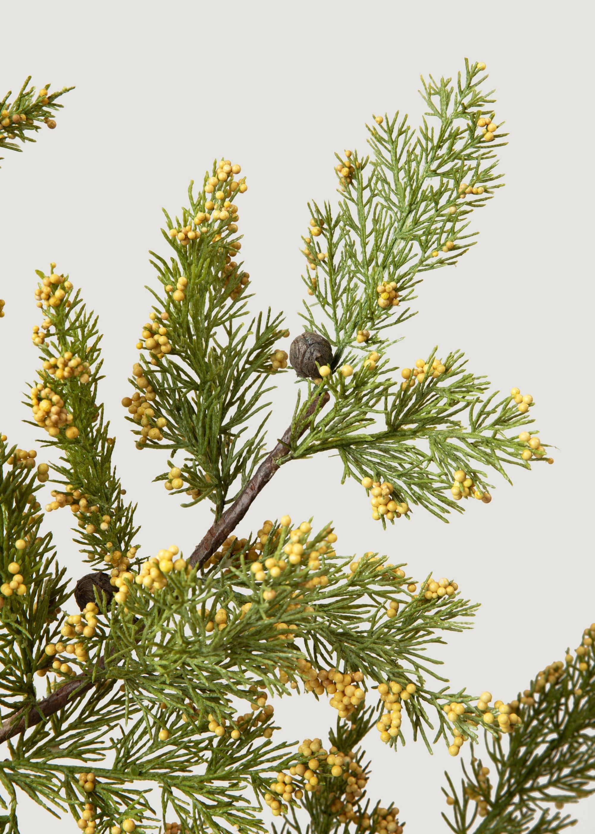 Natural Green Artificial Pine Branch for Wedding Decor