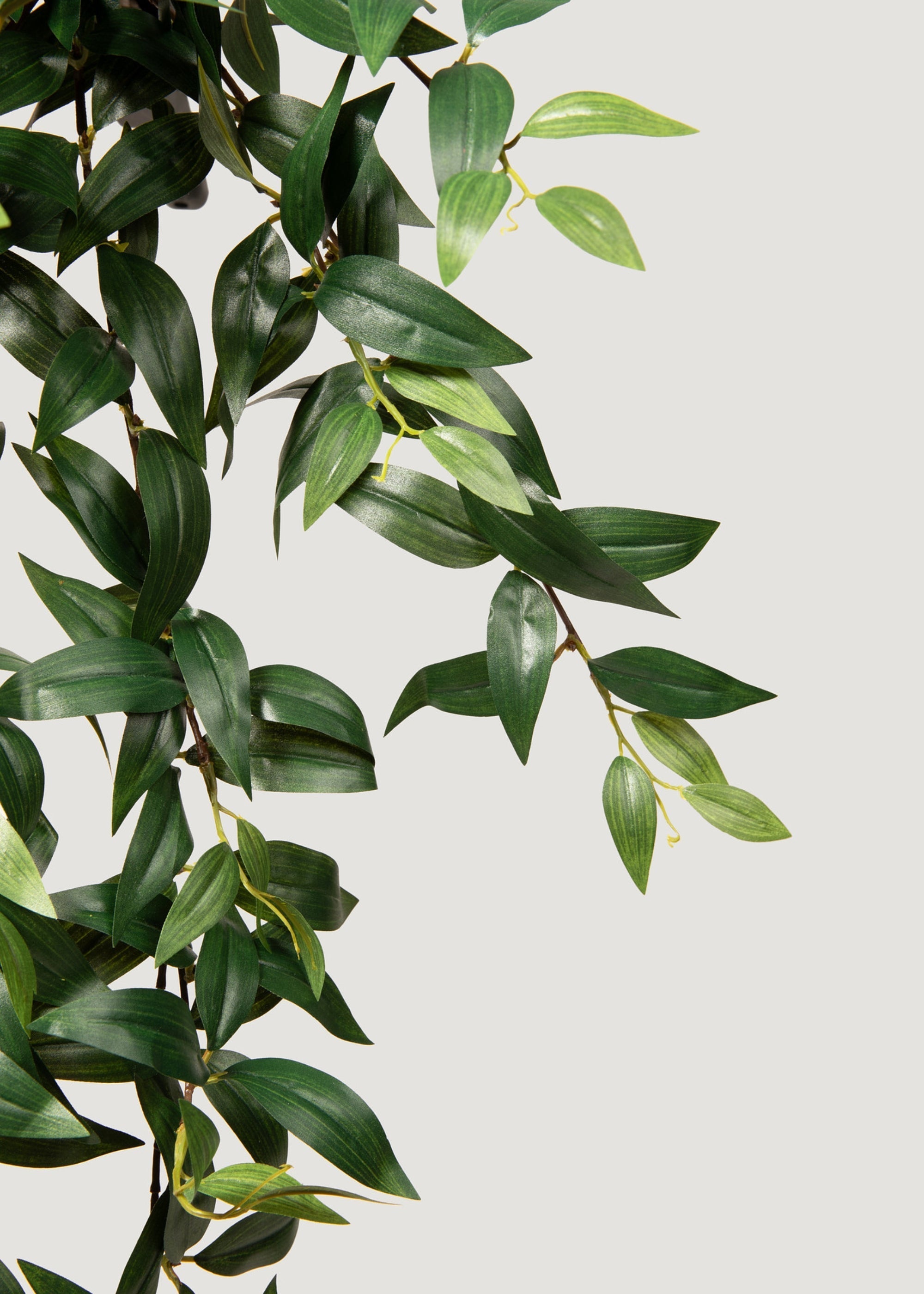 Green Artificial Ruscus Bush for Entryway Arrangement