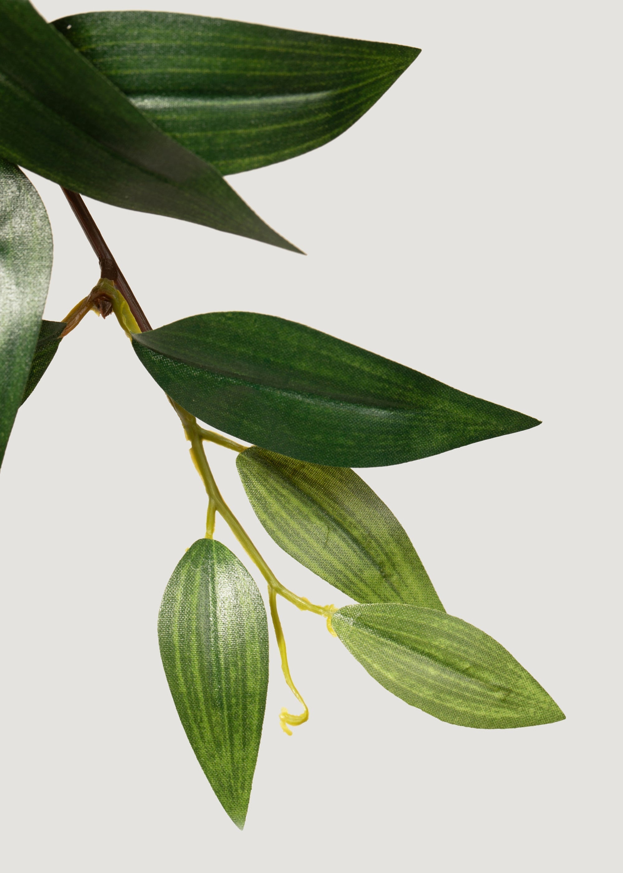 Green Artificial Ruscus Bush for Table Centerpiece