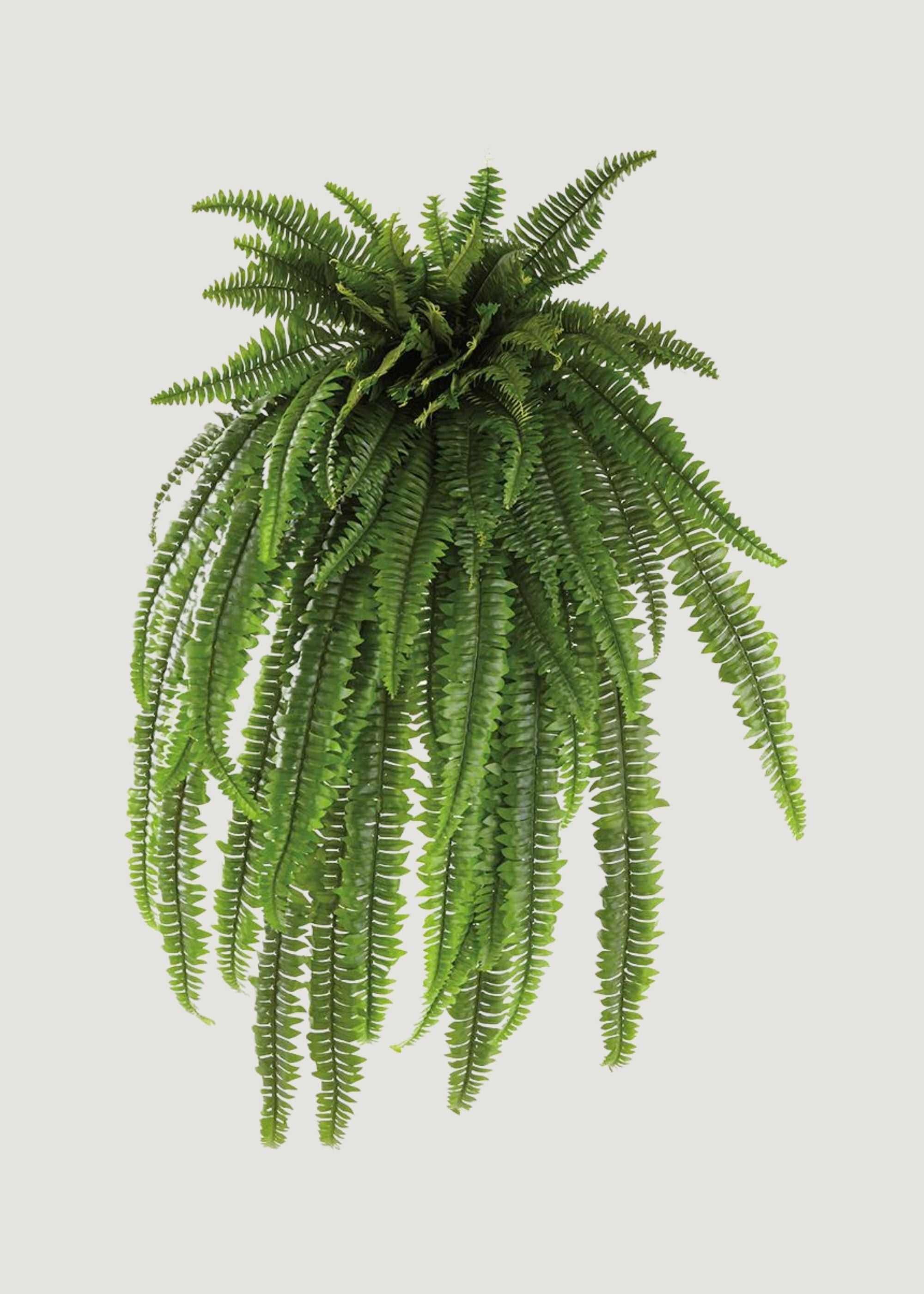 Green Artificial Fern Bush for Vase Styling