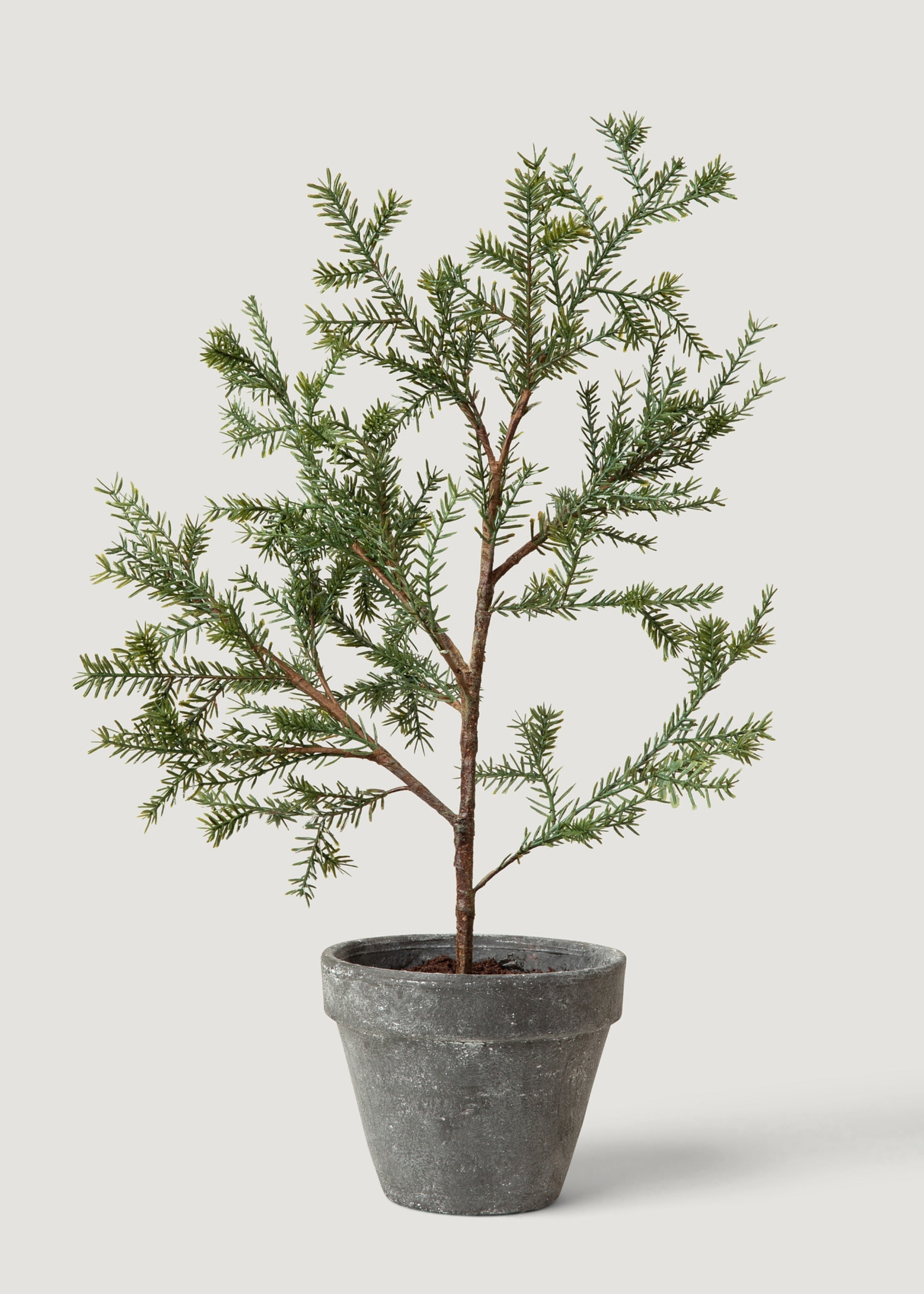 Table Top Pine Tree for Vase Styling