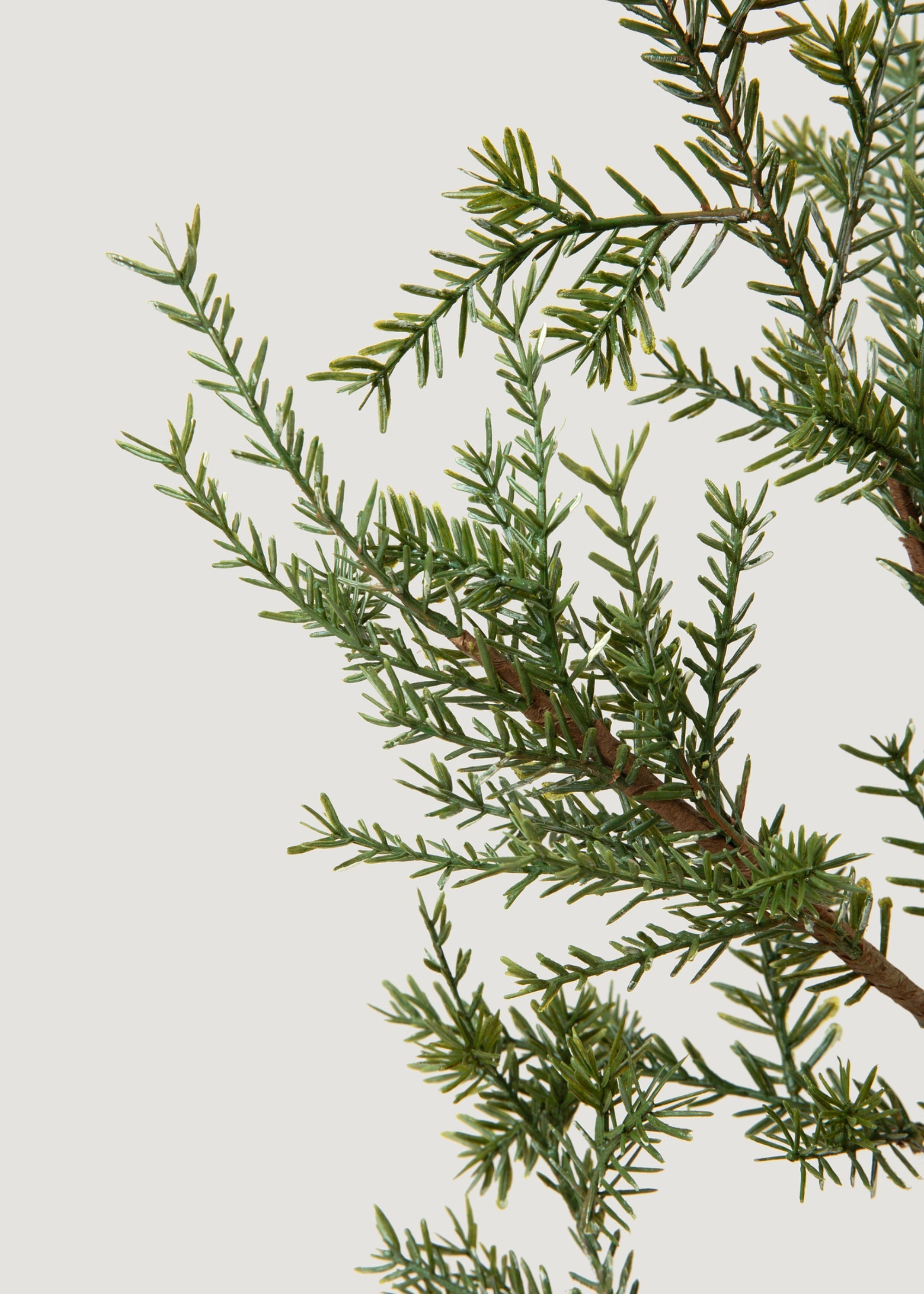 Table Top Pine Tree for Wedding Decor