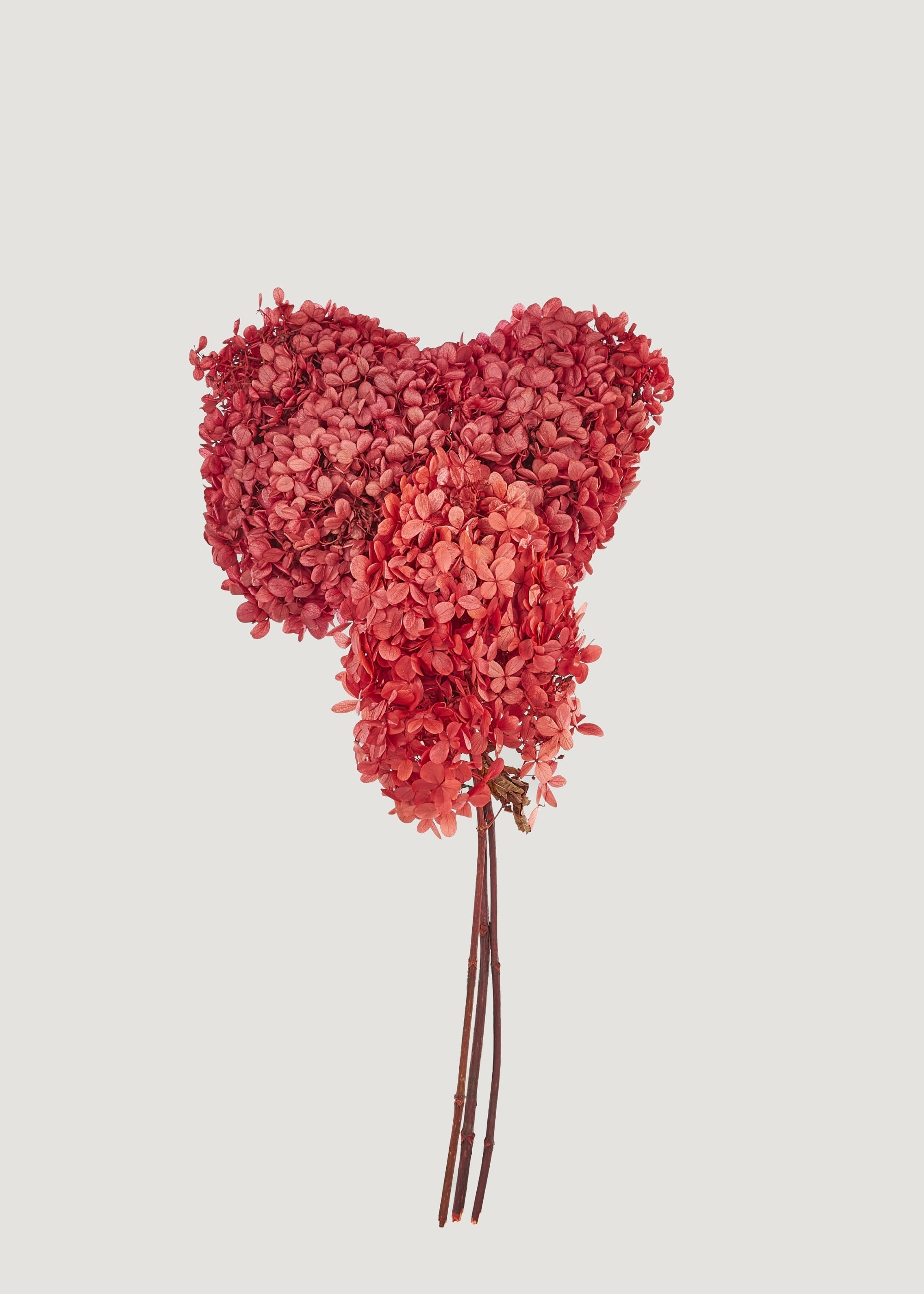 Pink Dried Hydrangea Bundle for Vase Styling
