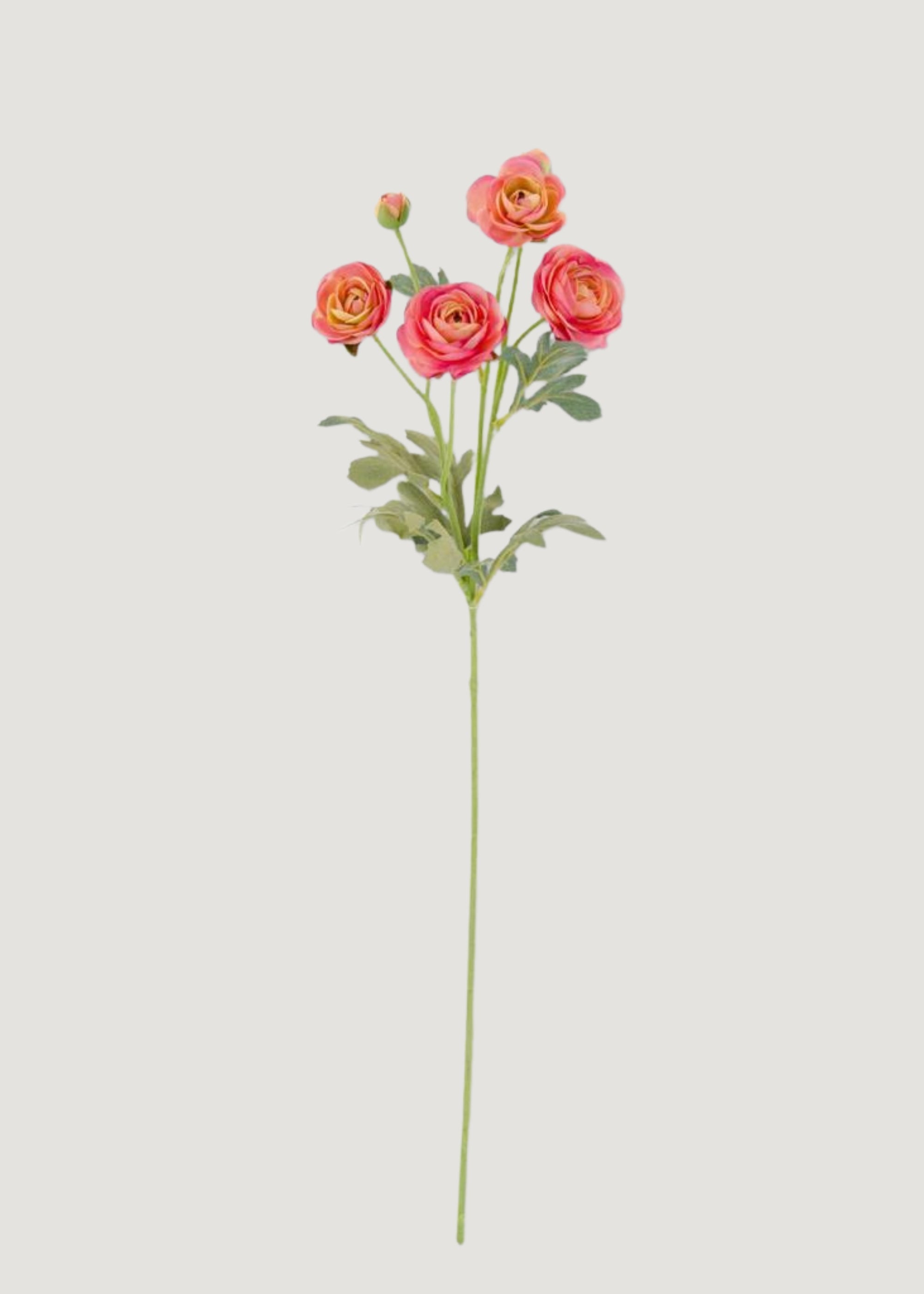 Pink Artificial Ranunculus Stem for Vase Styling