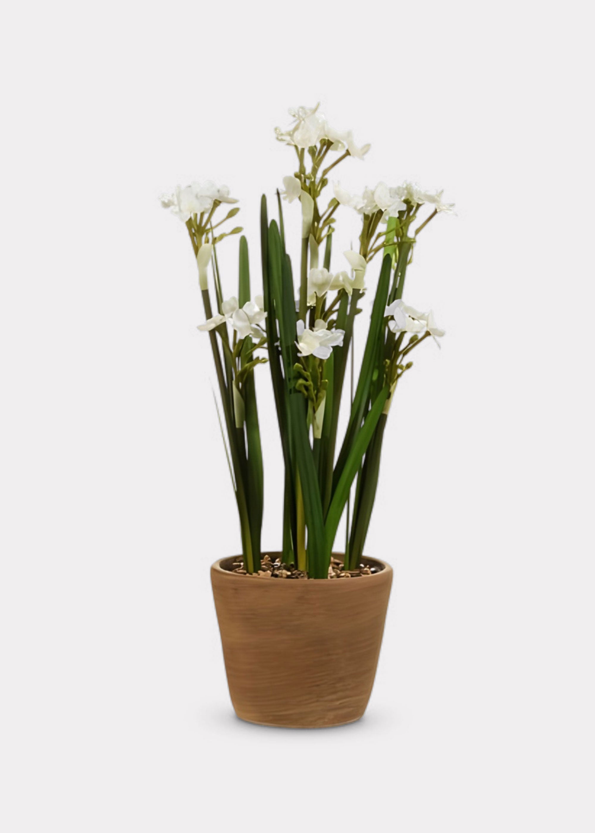 Artificial Potted Paperwhite Arrangement for Vase Styling