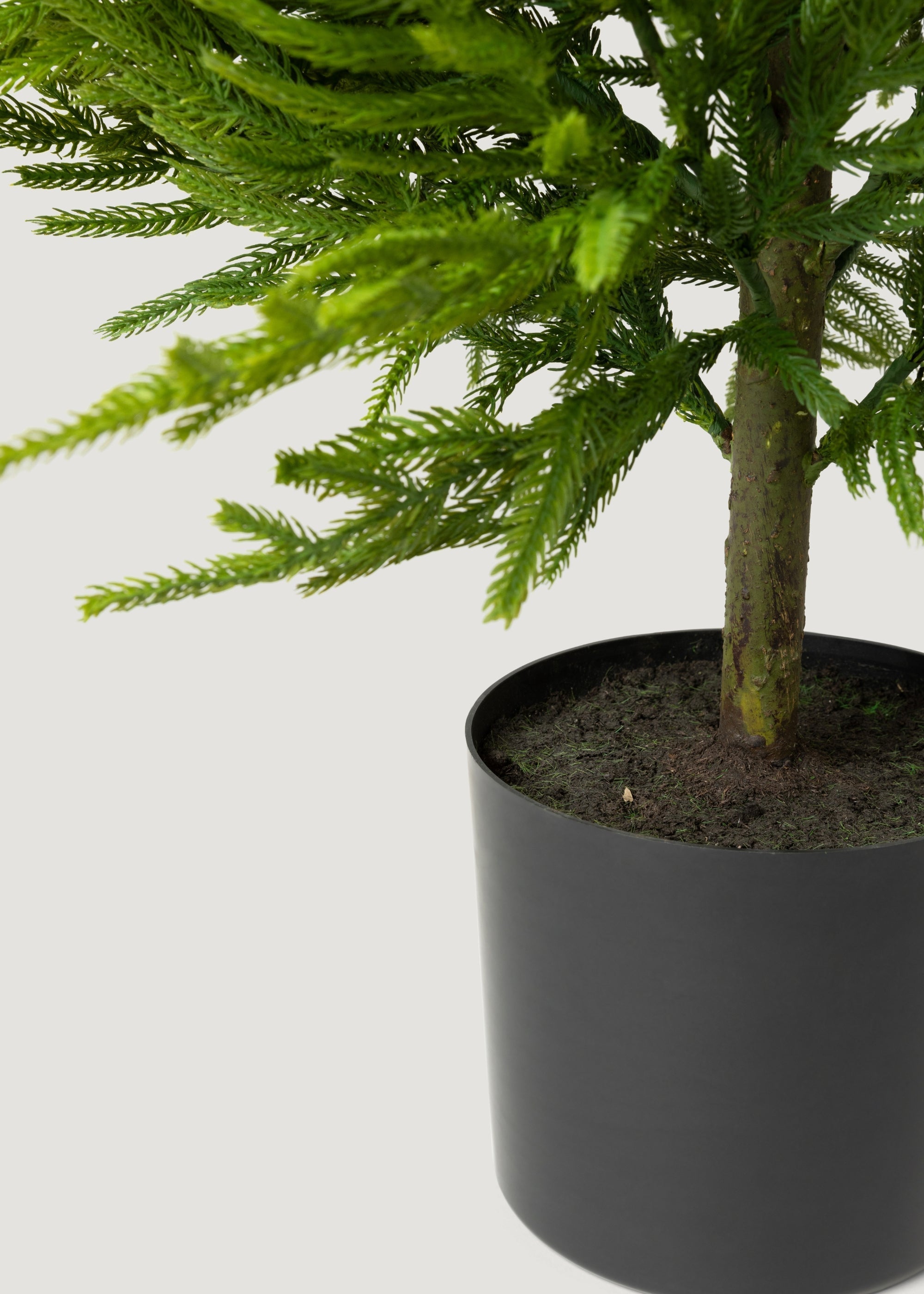 Artificial pine branches in pot for winter living room decor