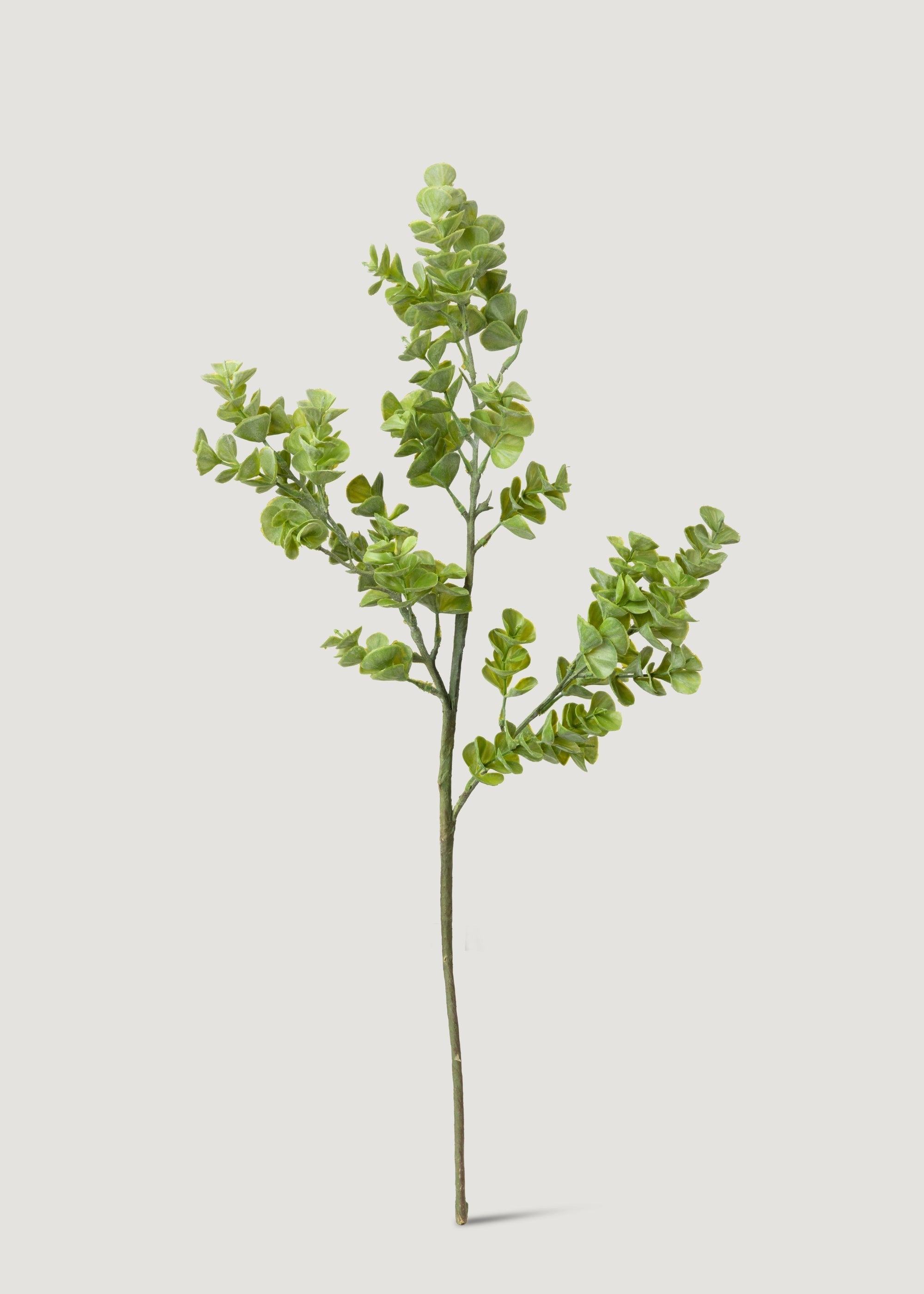 Green Artificial Eucalyptus Branch for Vase Styling