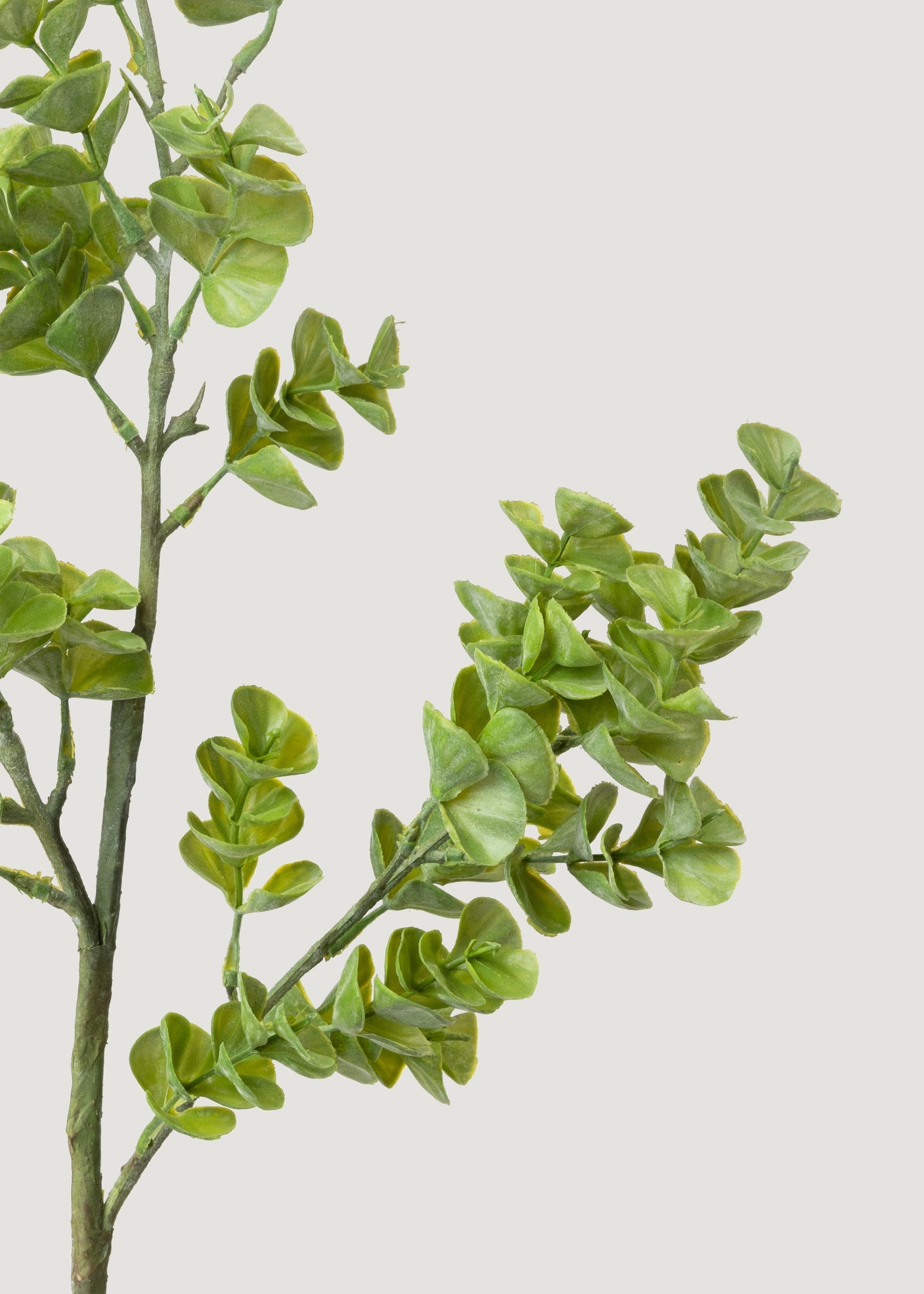 Green Artificial Eucalyptus Branch for Home Decor