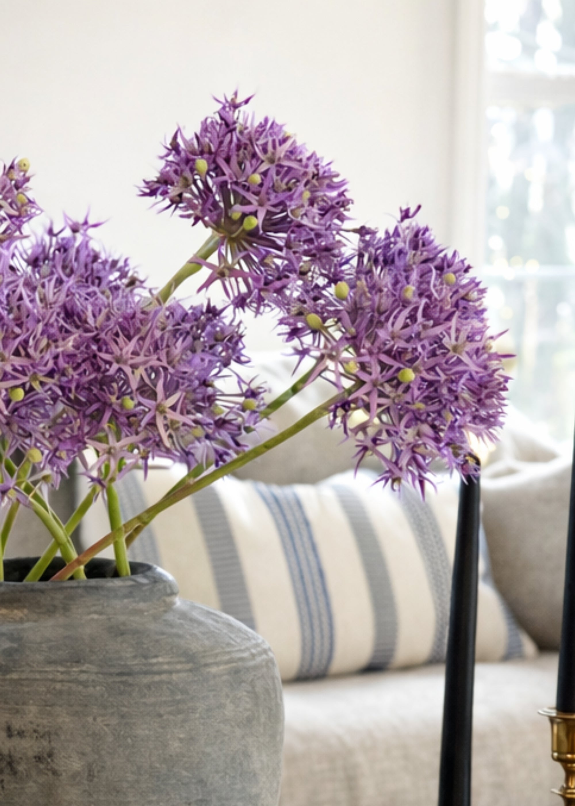 Artificial allium bundle close-up for spring home decor