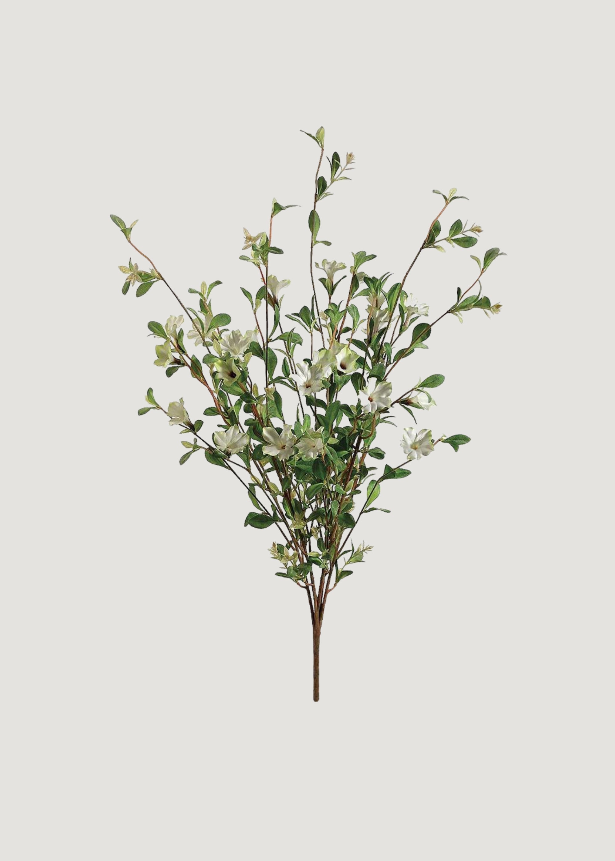 Cream Artificial Wild Petunia Bush for Vase Styling