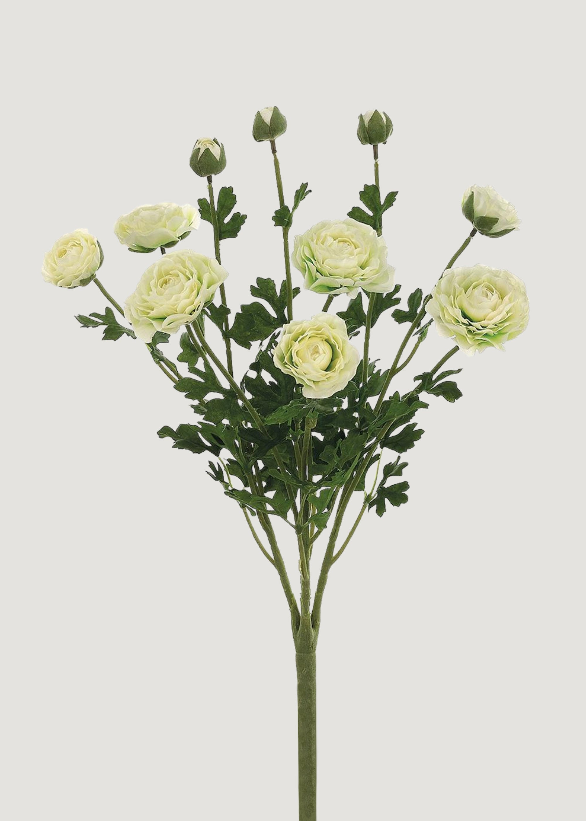 Cream Artificial Ranunculus Bush for Vase Styling