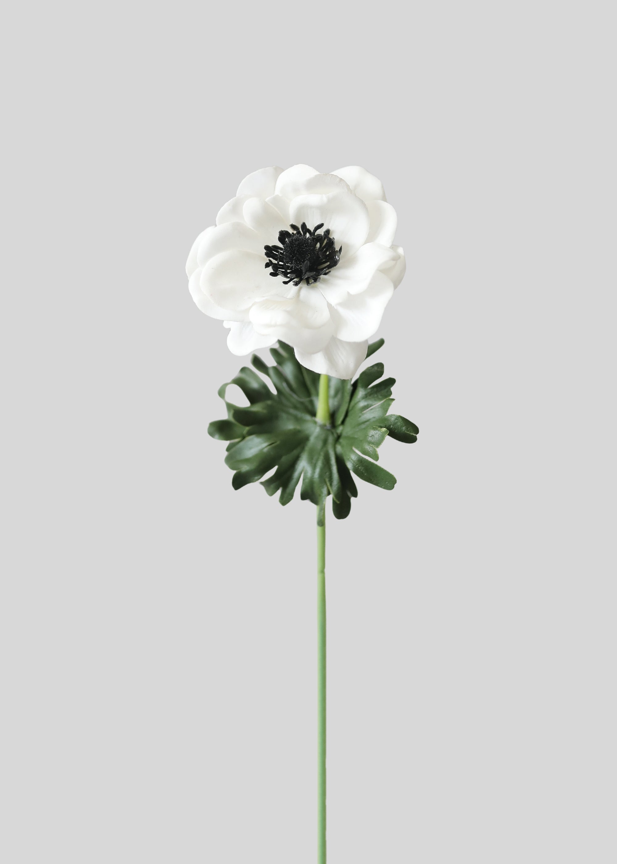 White Real Touch Artificial Anemone Stem for Vase Styling