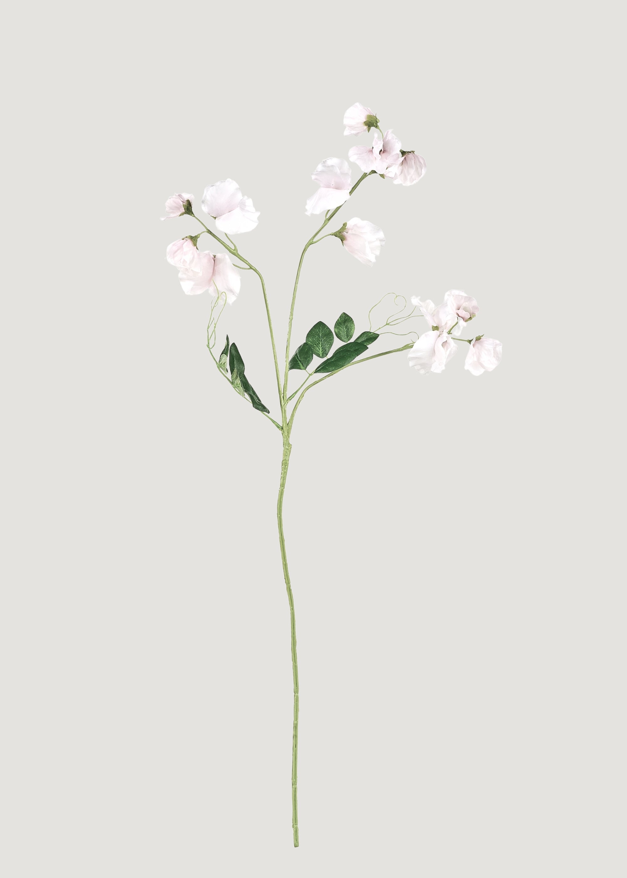Cream Artificial Sweet Pea Wildflowers for Vase Styling