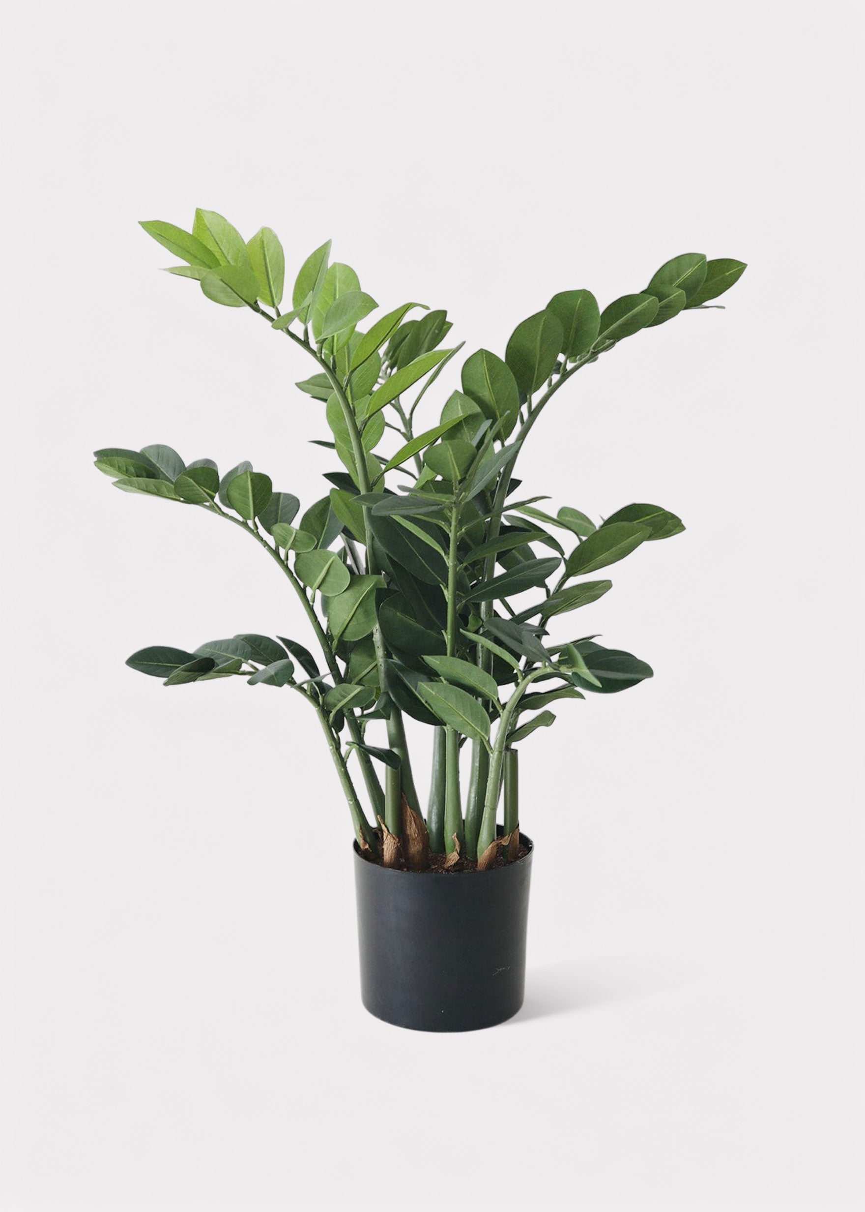 Green Artificial Zz Tropical for Vase Styling