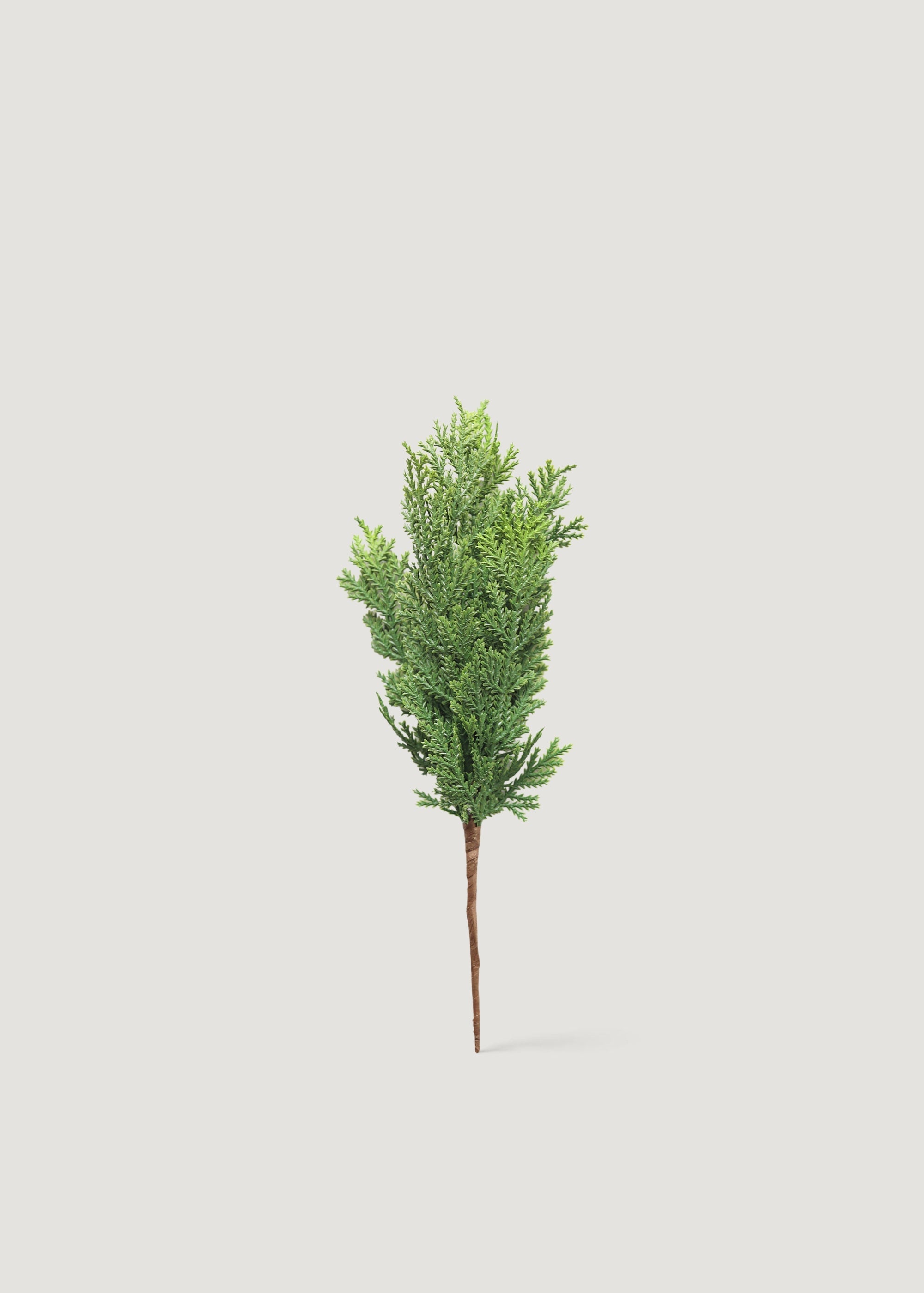 Natural Green Artificial Pine Stem for Entryway Arrangement