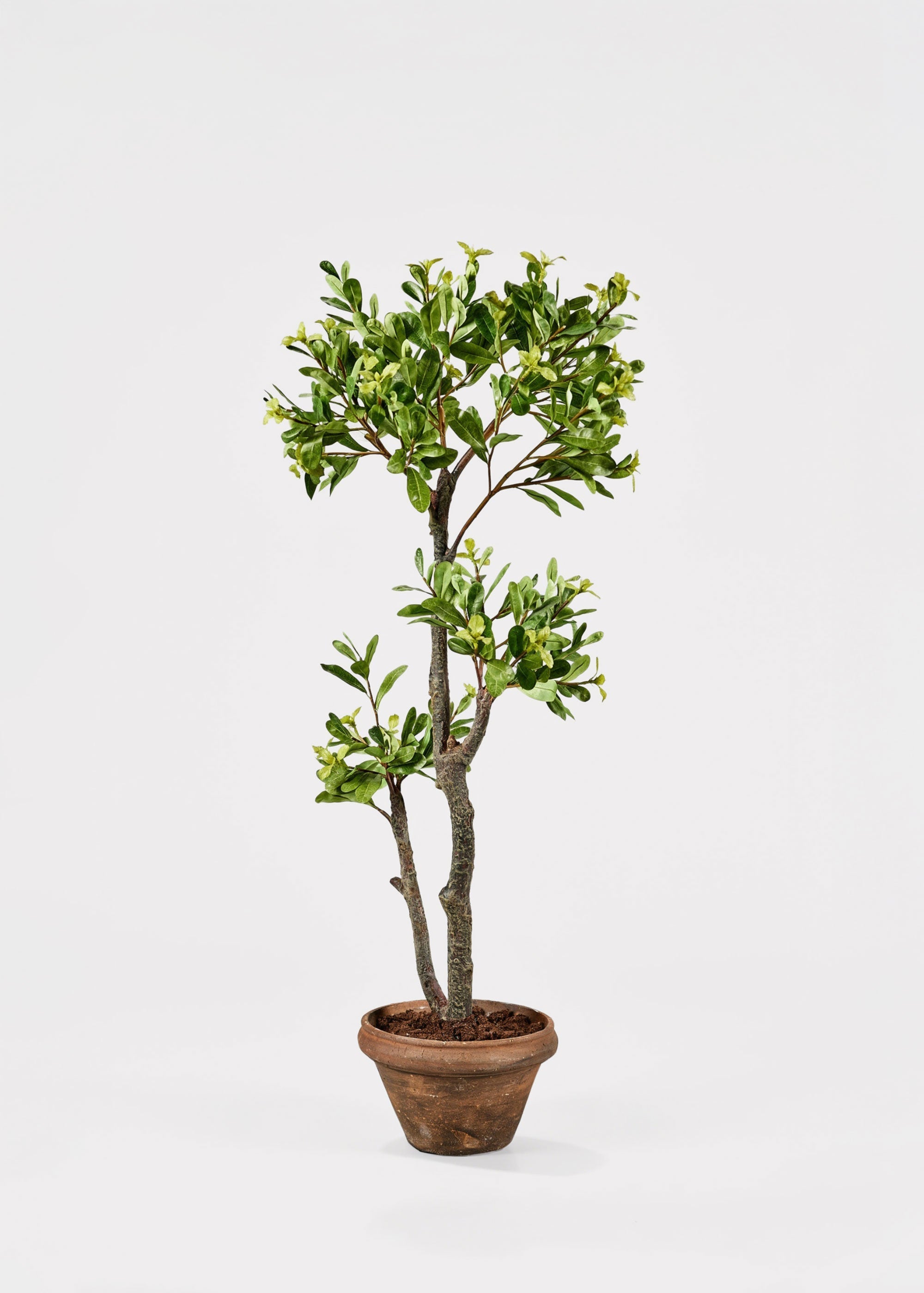 Green Artificial Japonicus Potted Tree for Vase Styling