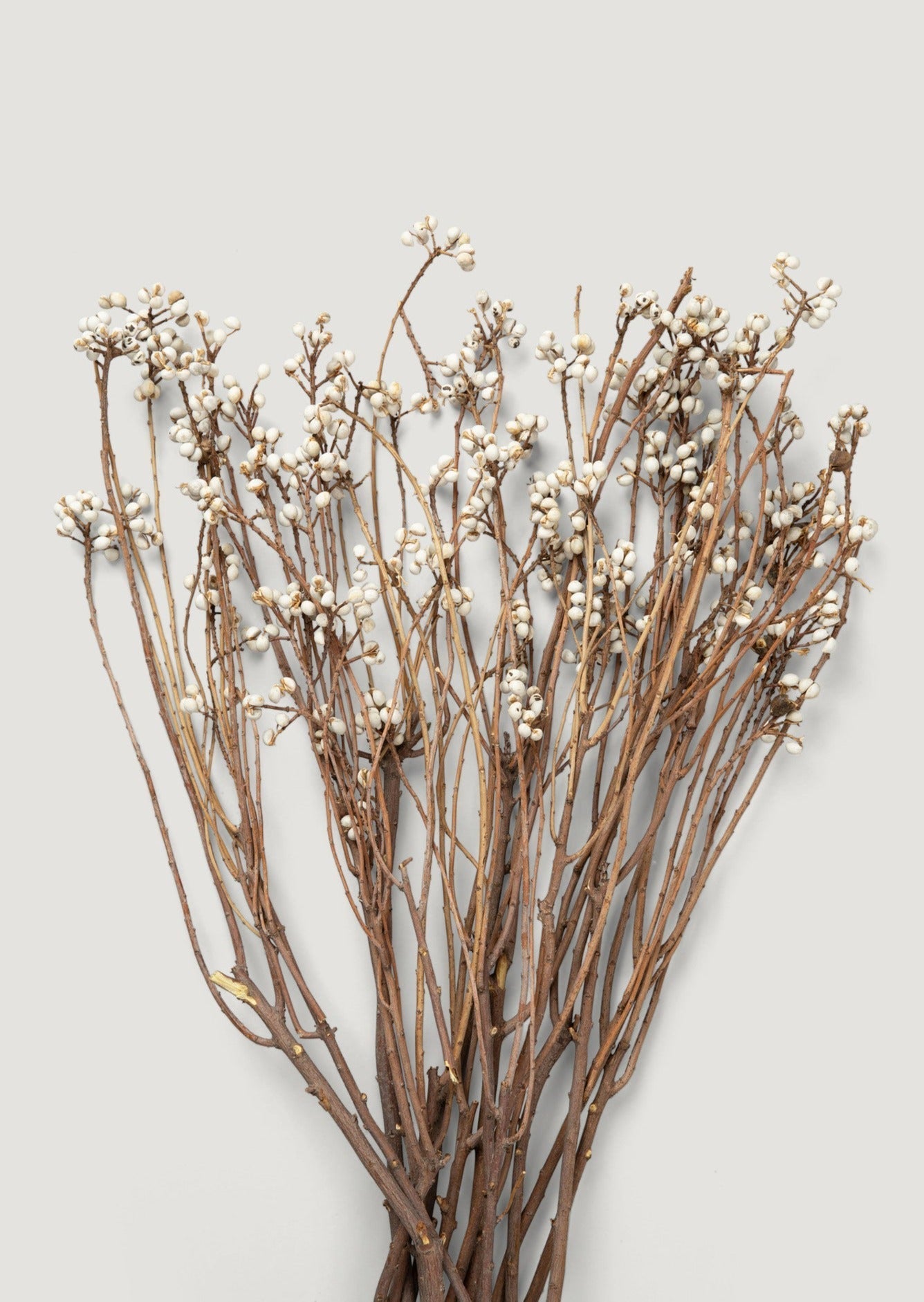 Natural Dried Berry Bundle for Home Decor